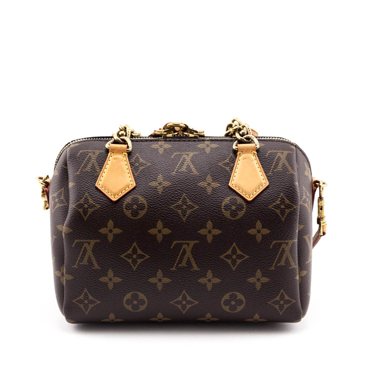 Louis Vuitton Monogram Chain Speedy 20