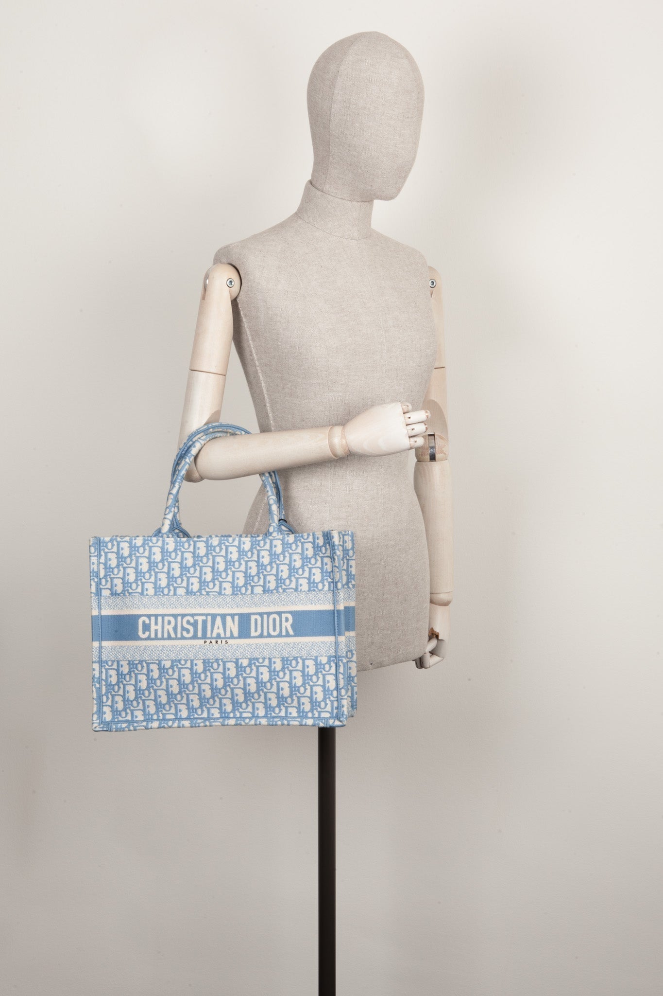 Dior Book Tote Mini Canvas Tote