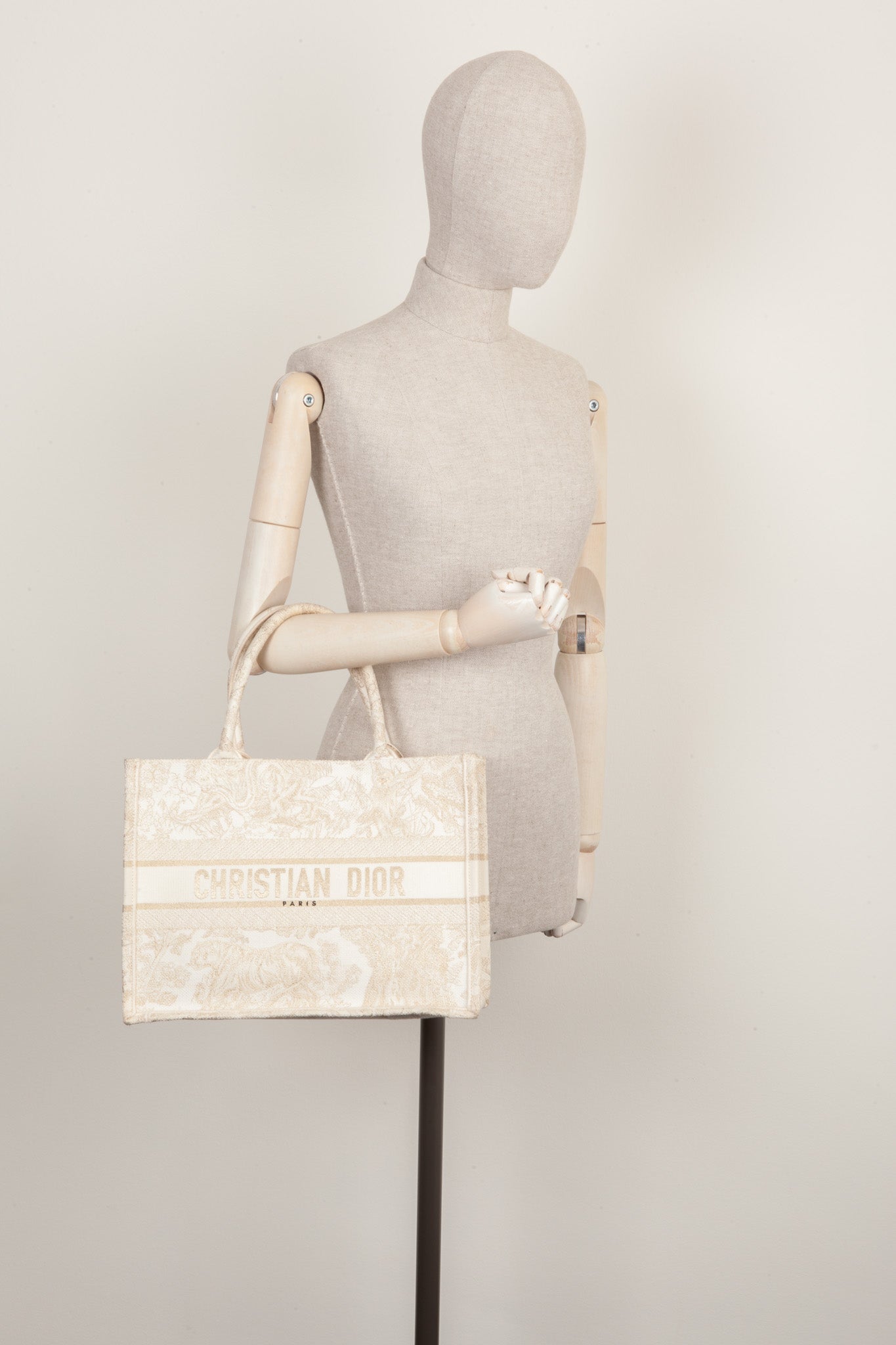 Dior Book Tote Mini Canvas Tote