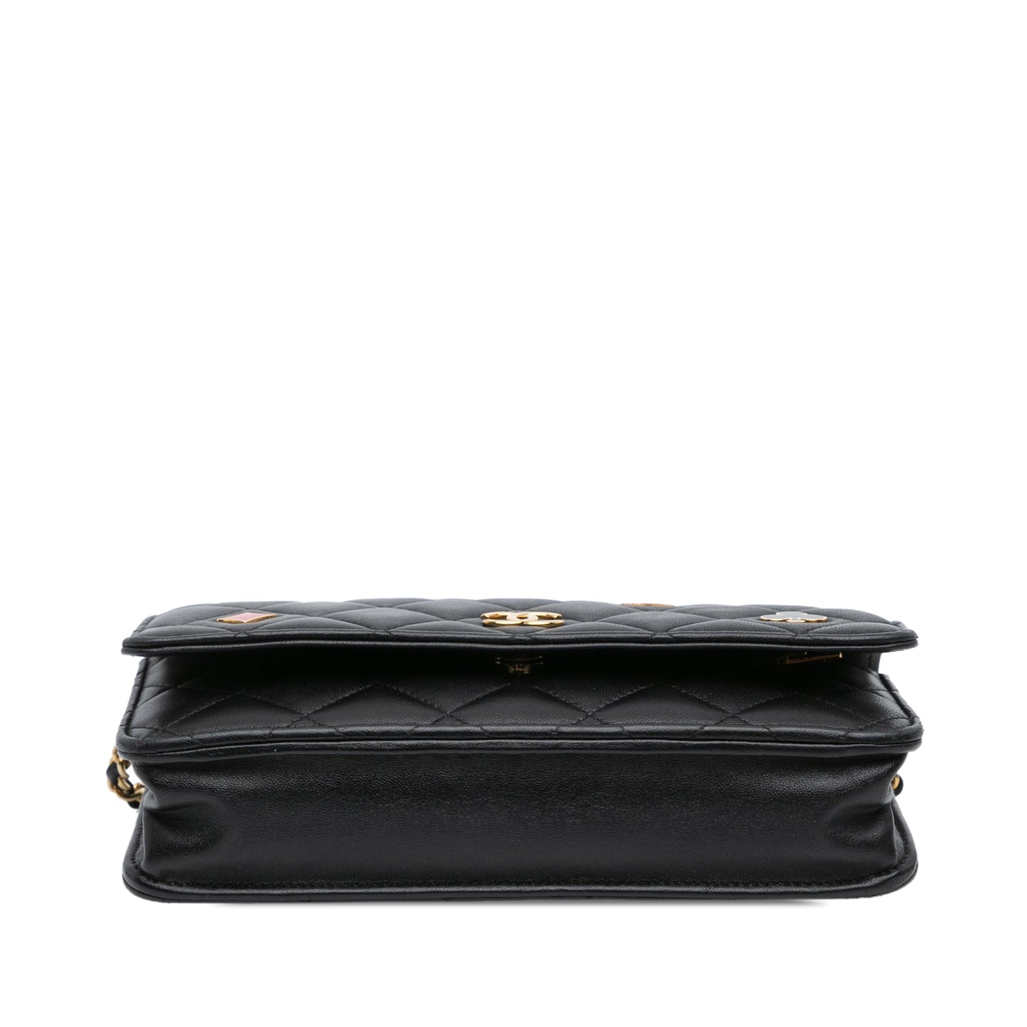 Chanel Wallet On Chain Crossbody Bag - Ewore Bags