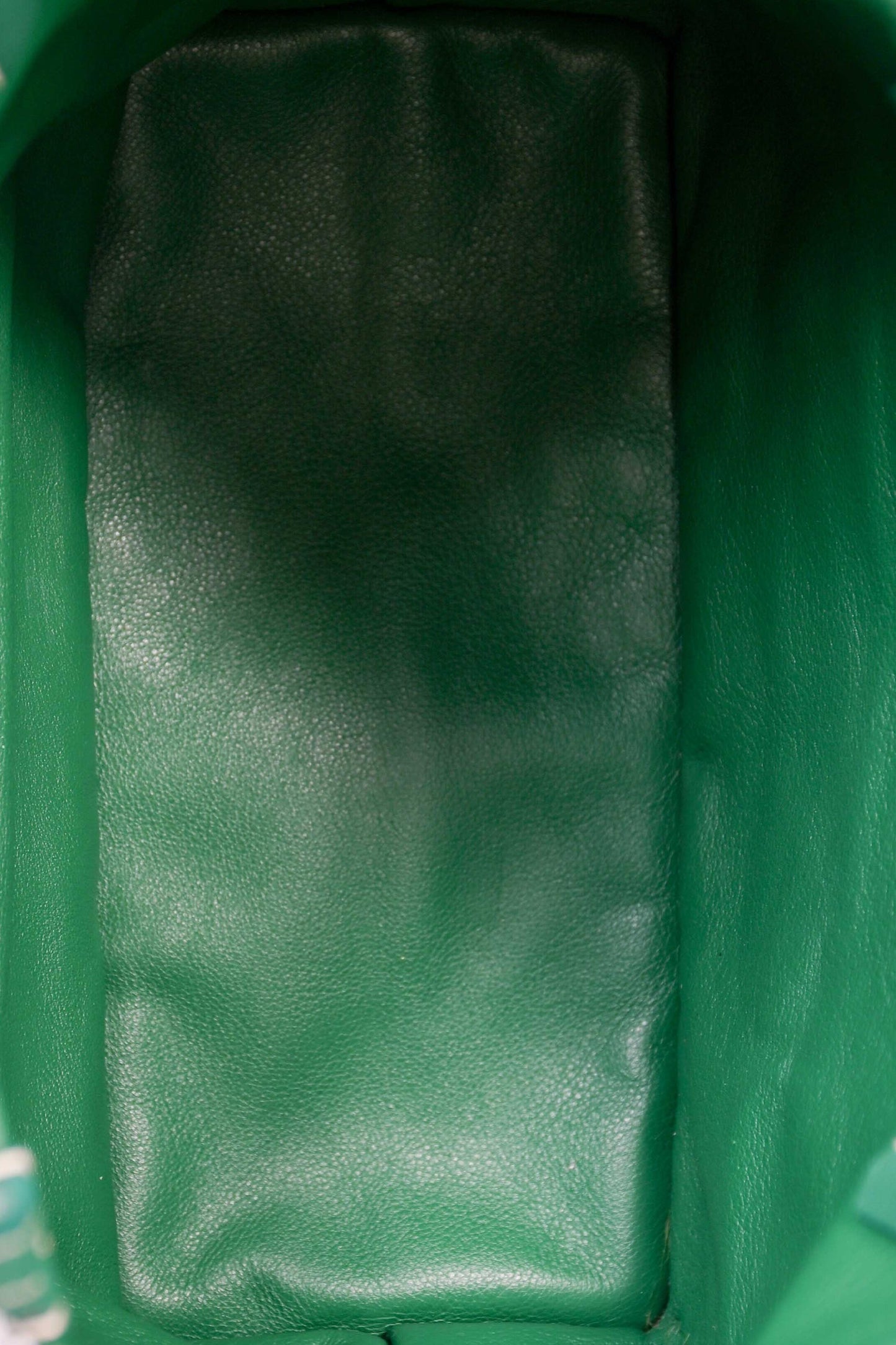Goyard Anjou Mini Tote - Green (NWT)