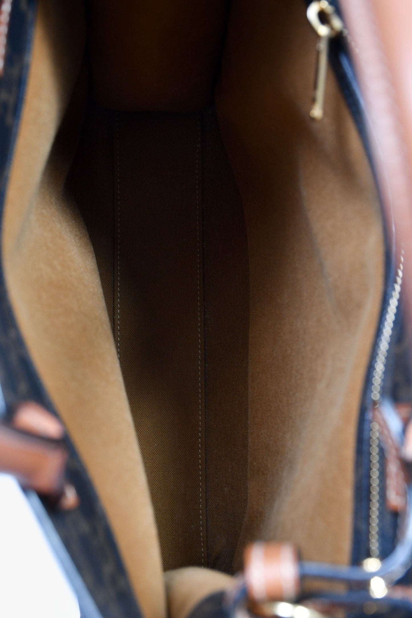 Celine Brown Triomphe Canvas Small Vertical Tote