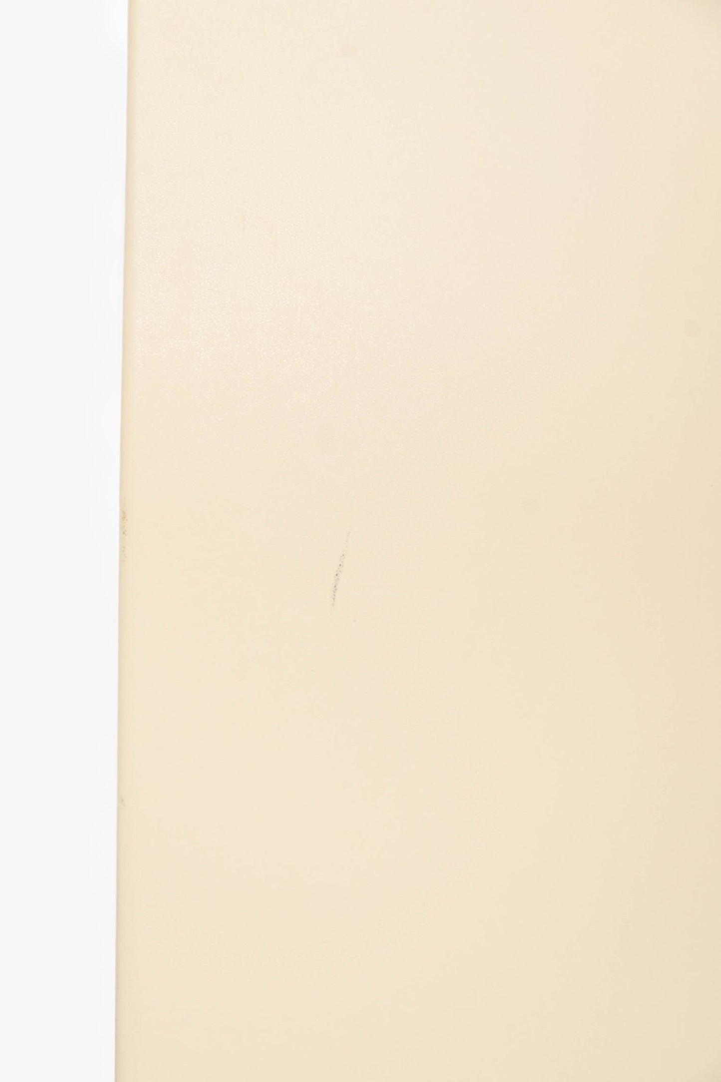 Stella McCartney Cream Leather Flat Tote