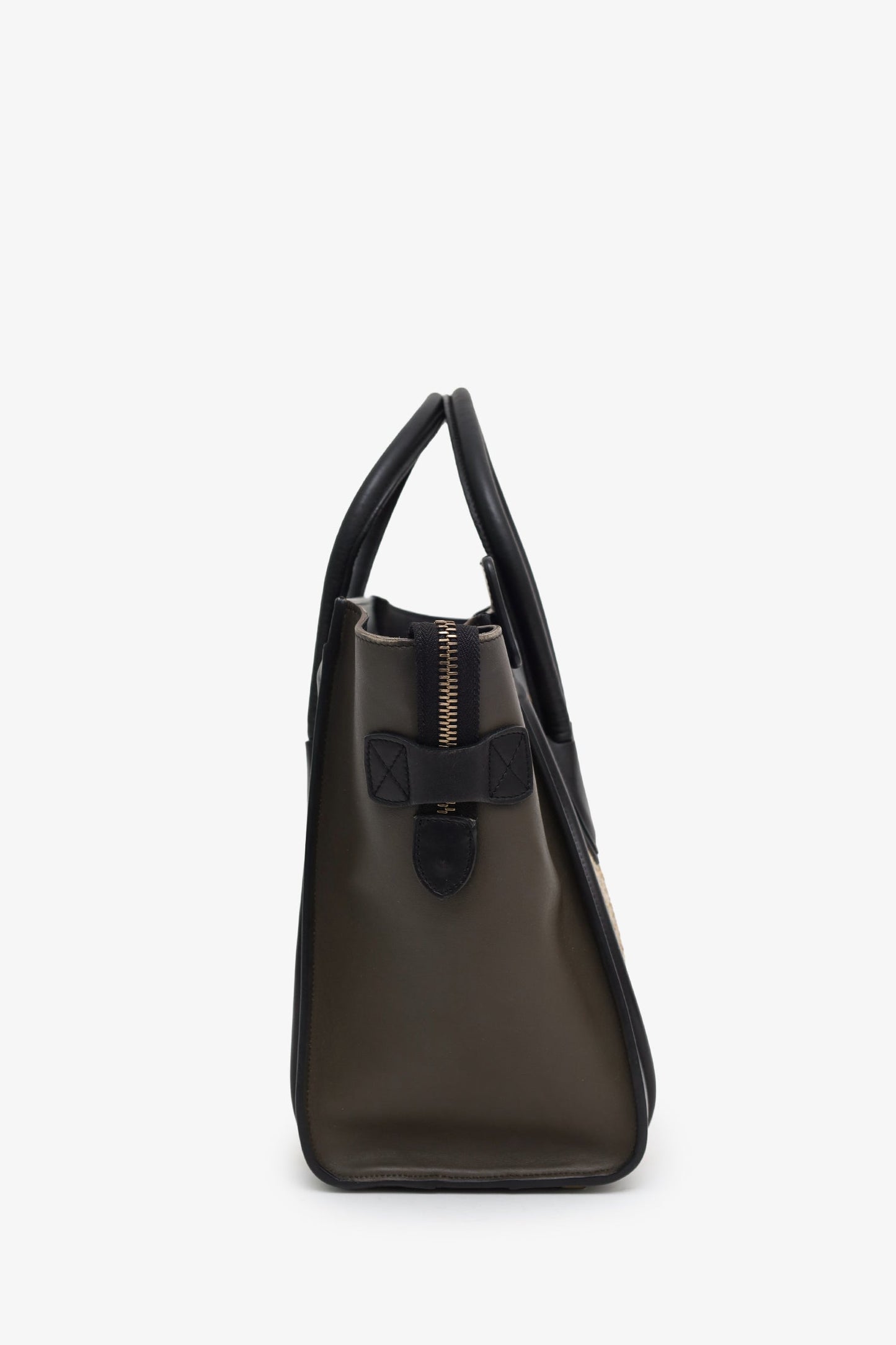 Celine Tricolour Leather/Python Micro Luggage Bag