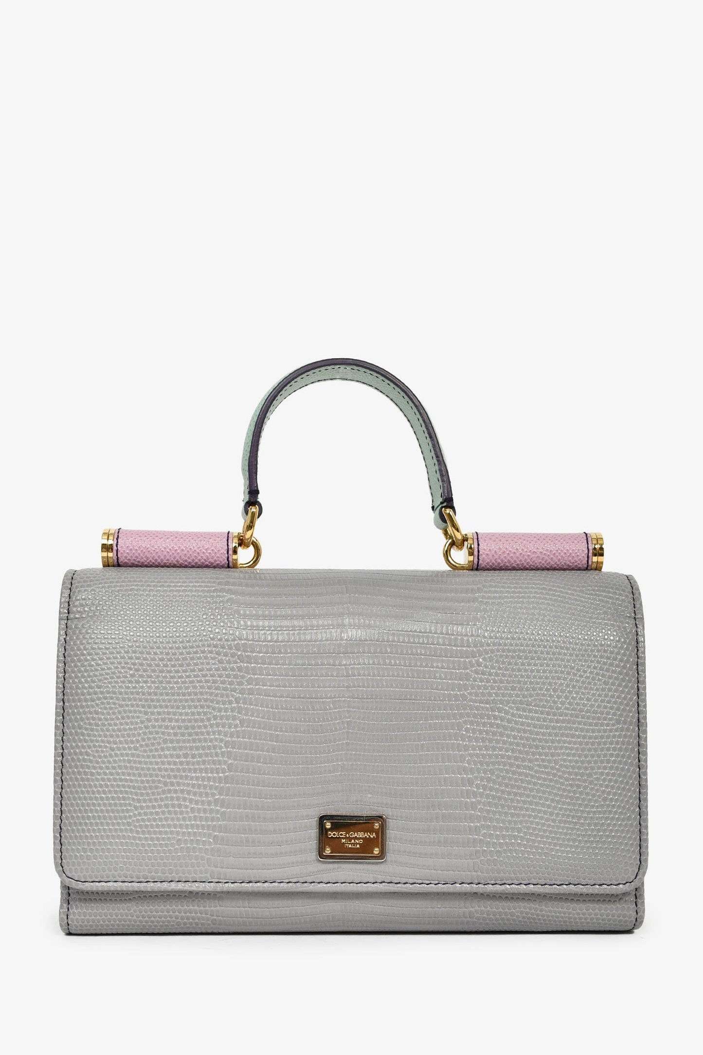 Dolce & Gabbana Grey/Pink/Green Leather Wallet on Chain Bag