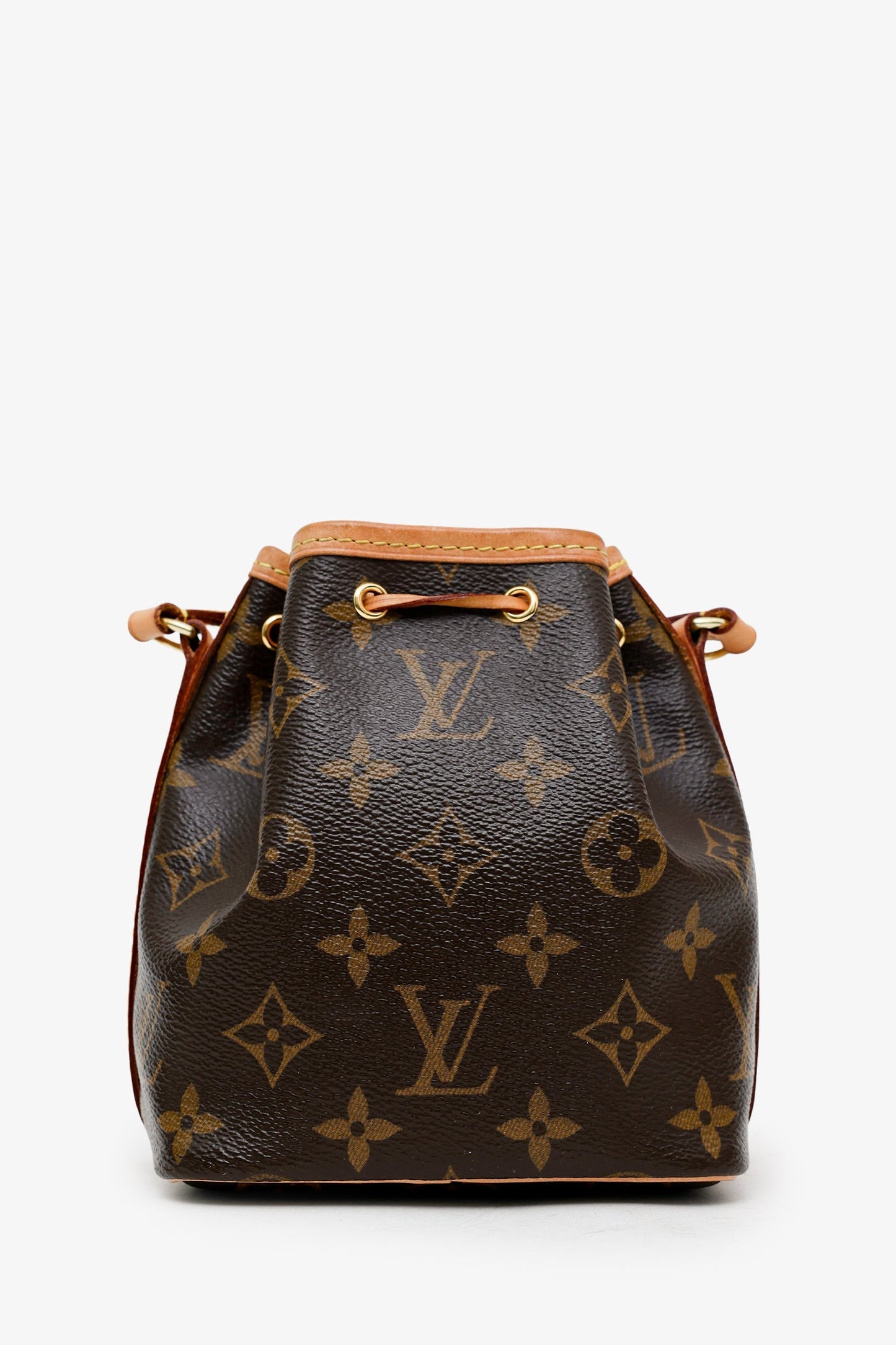 Louis Vuitton 2020 Monogram Nano Noe Bucket Bag