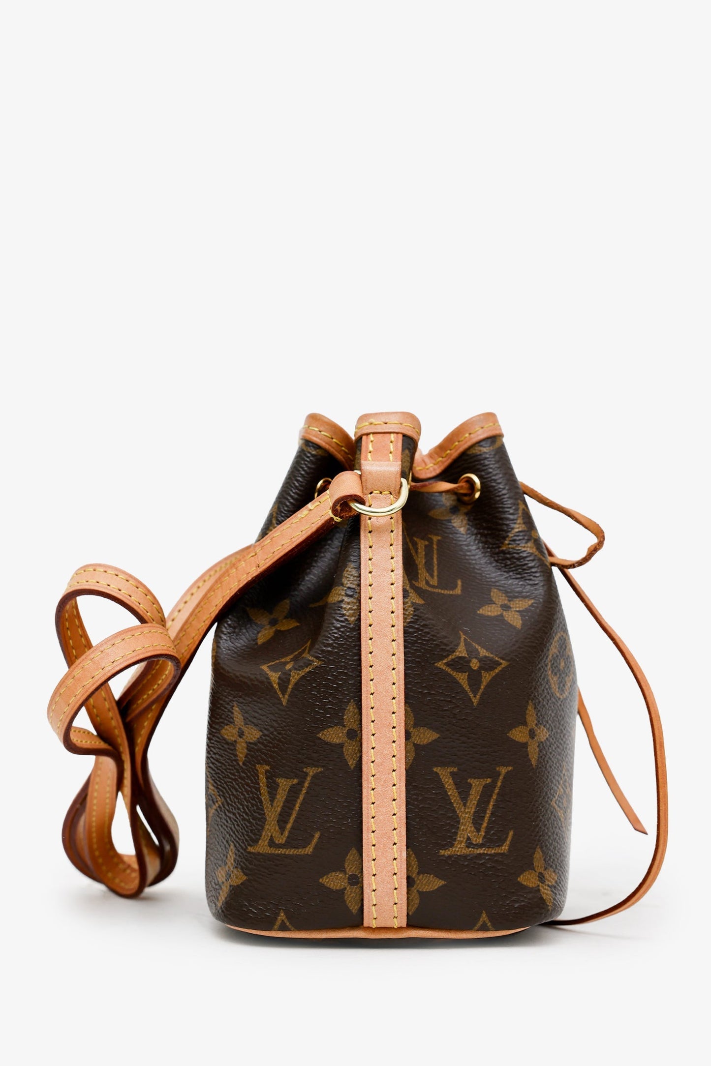 Louis Vuitton 2020 Monogram Nano Noe Bucket Bag