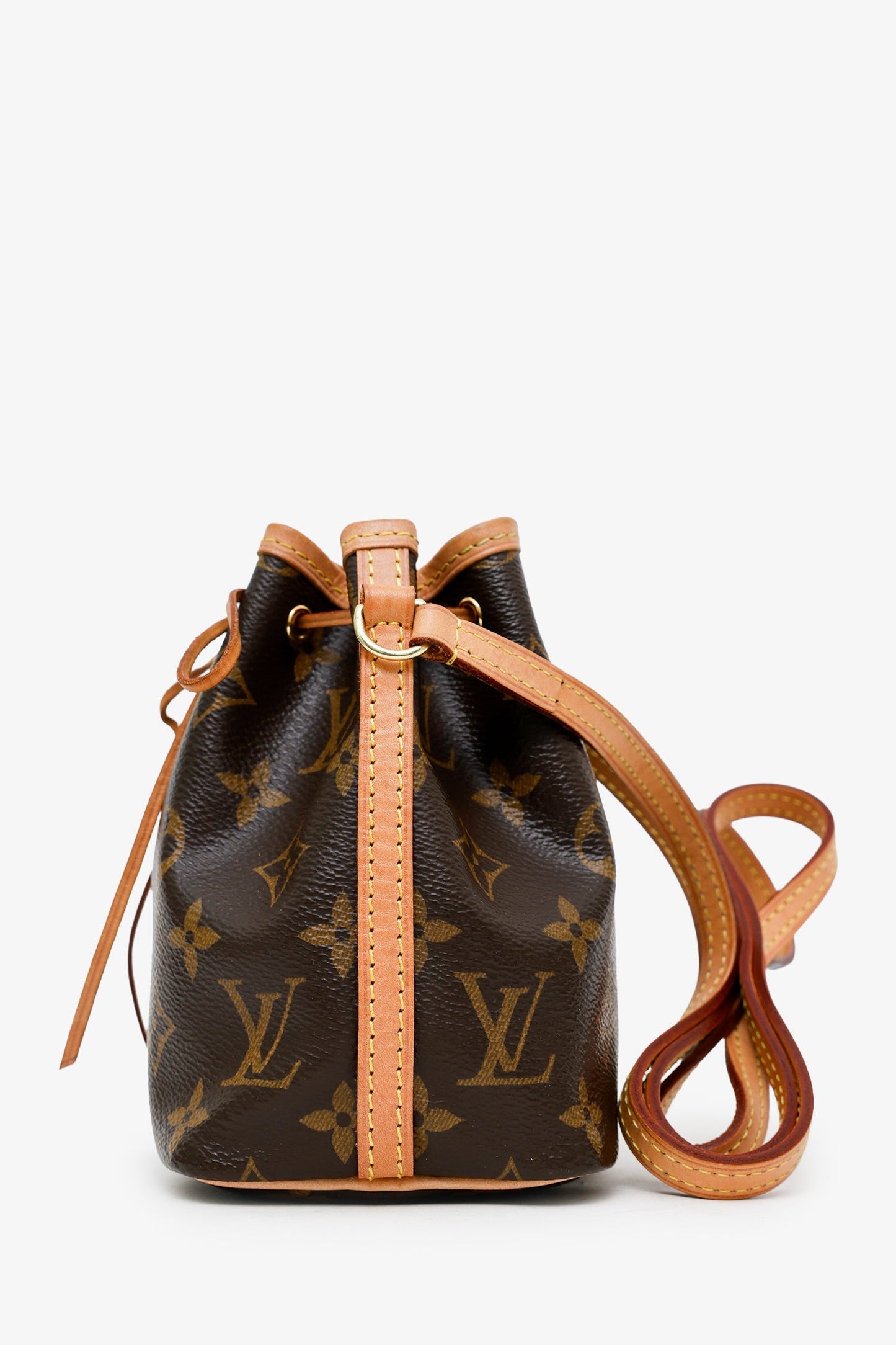 Louis Vuitton 2020 Monogram Nano Noe Bucket Bag