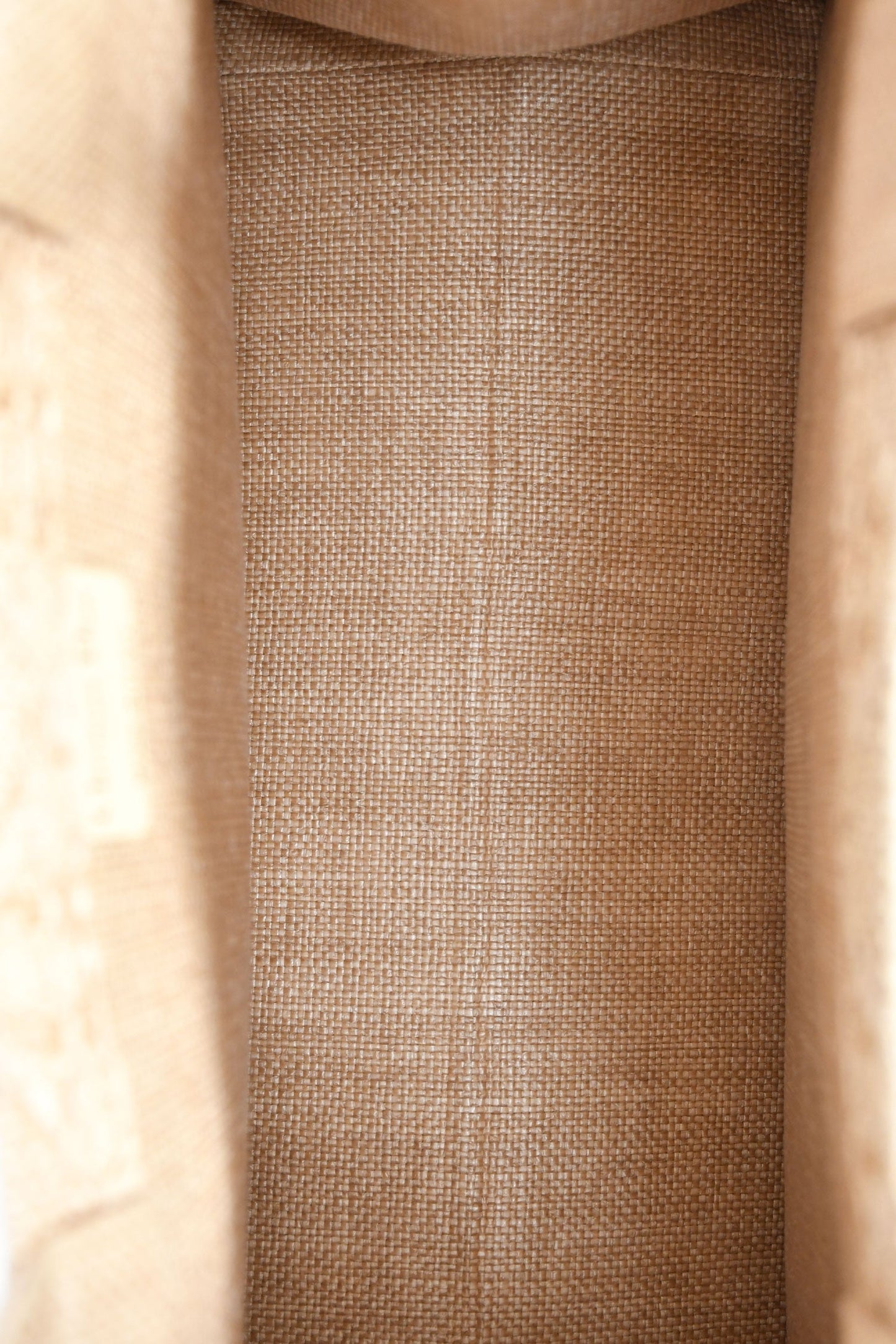 Christian Dior 2023 Beige Raffia Medium Dior Book Tote