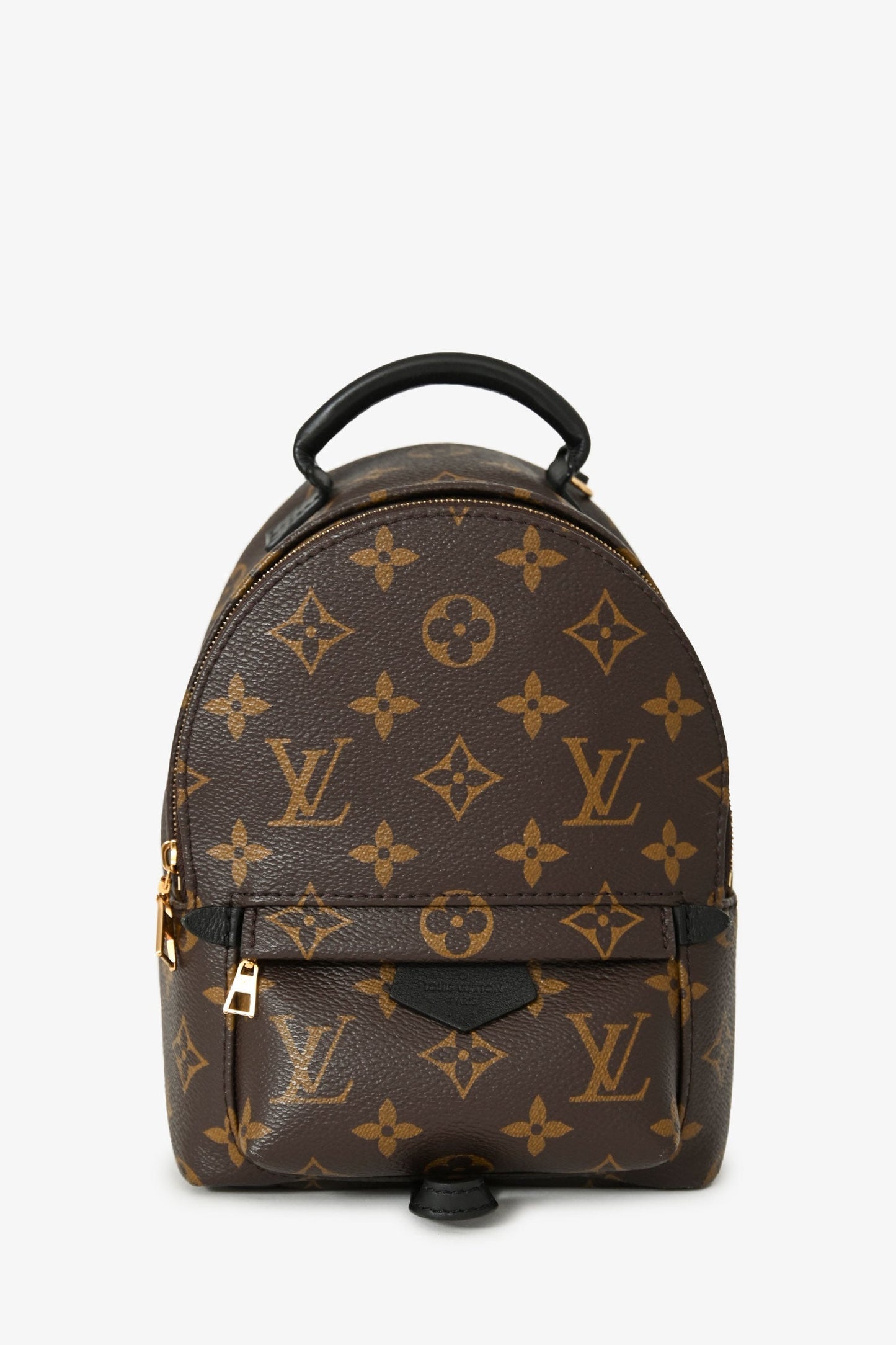 Louis Vuitton 2020 Monogram Palm Springs Mini