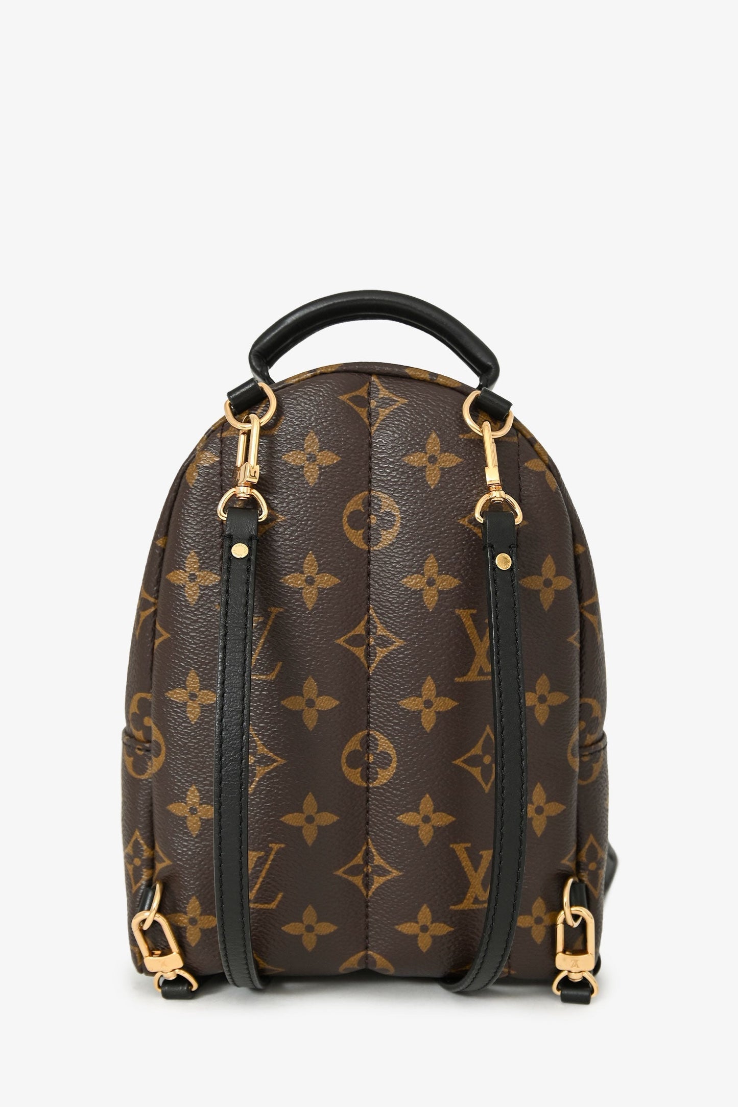 Louis Vuitton 2020 Monogram Palm Springs Mini
