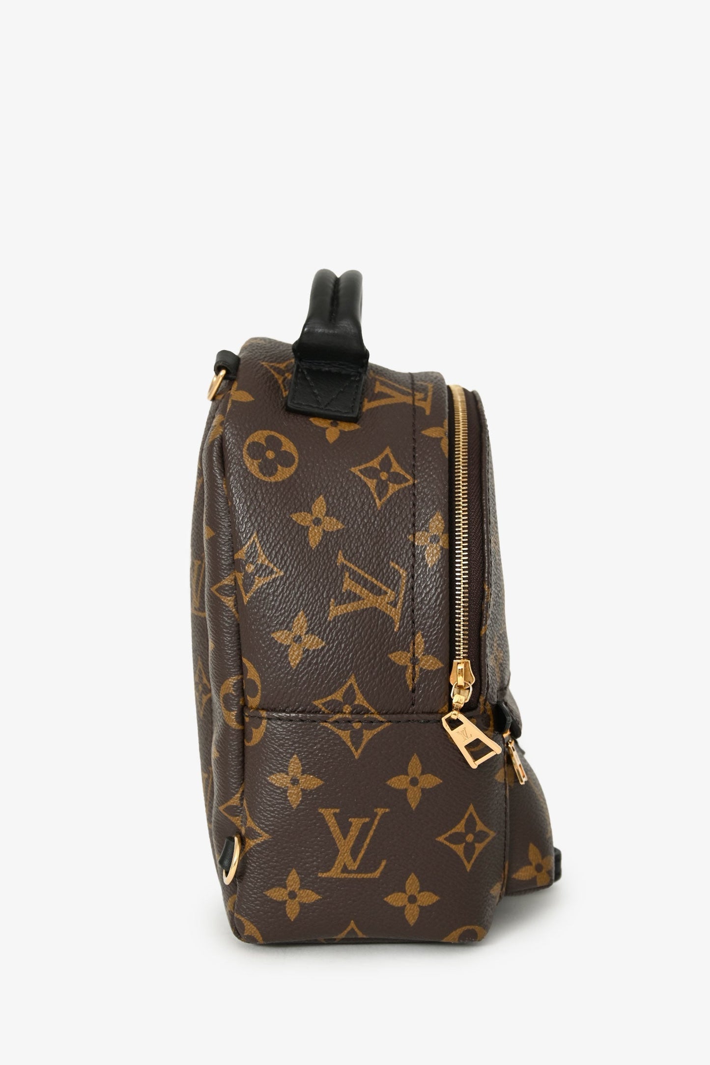 Louis Vuitton 2020 Monogram Palm Springs Mini