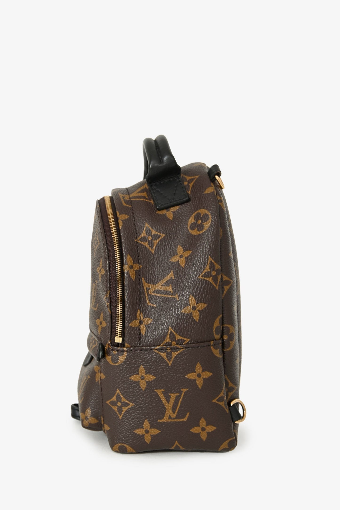 Louis Vuitton 2020 Monogram Palm Springs Mini