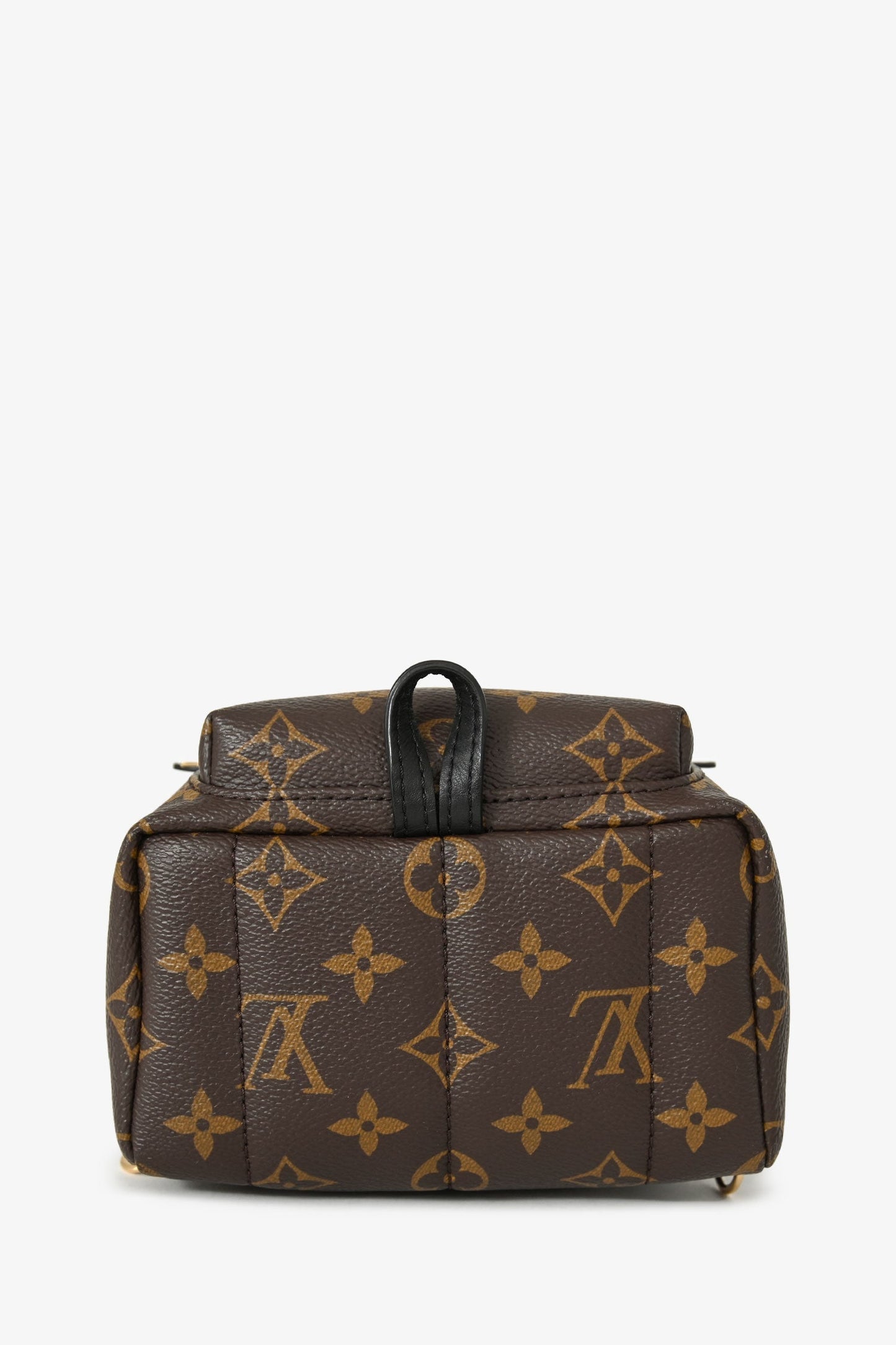 Louis Vuitton 2020 Monogram Palm Springs Mini