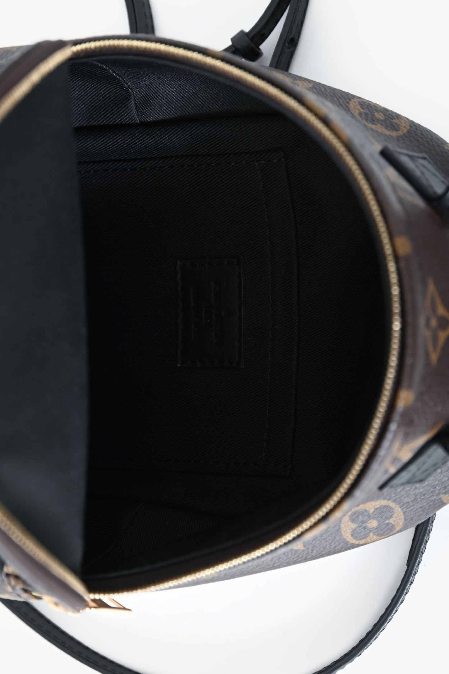 Louis Vuitton 2020 Monogram Palm Springs Mini
