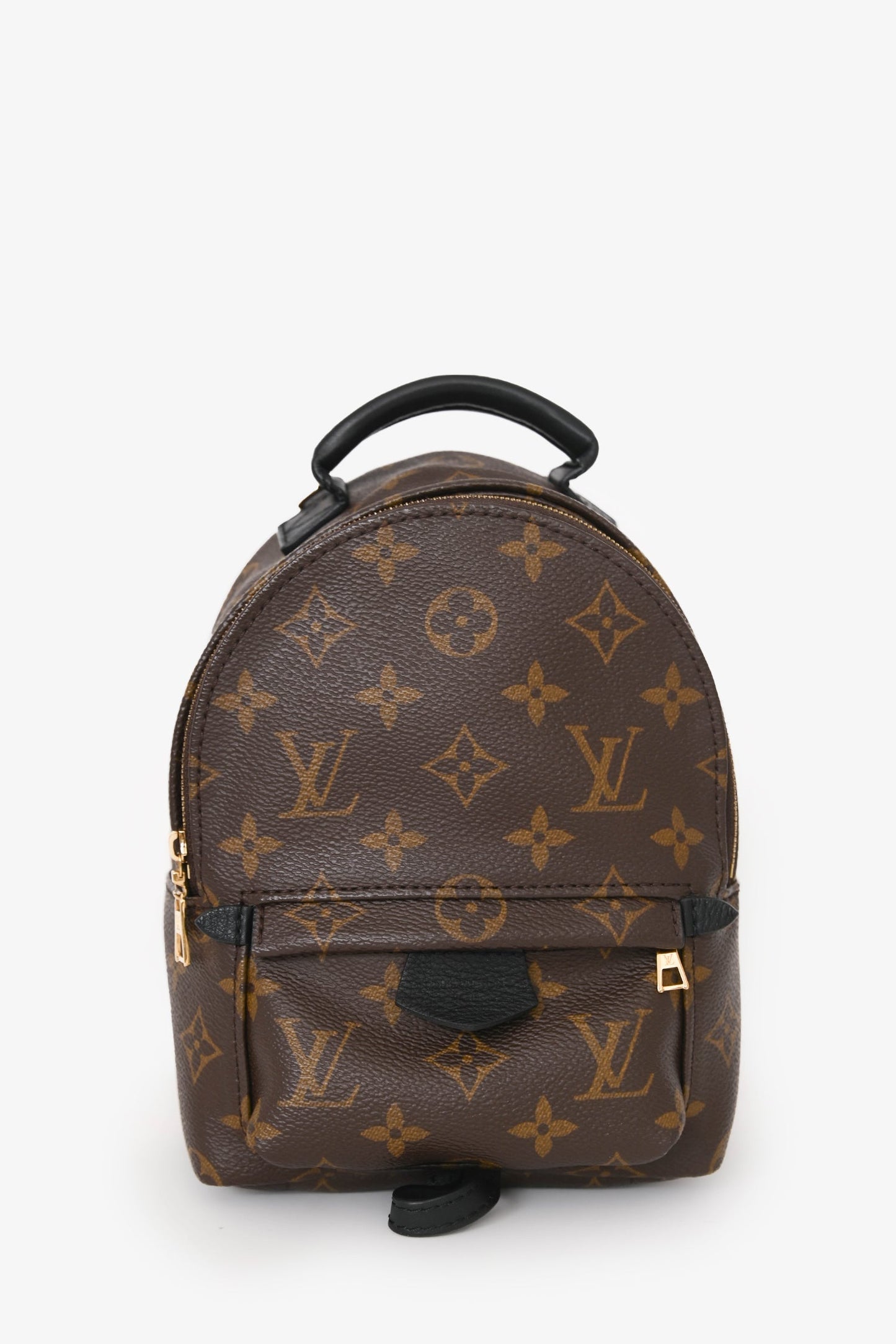 Louis Vuitton 2020 Monogram Palm Springs Mini