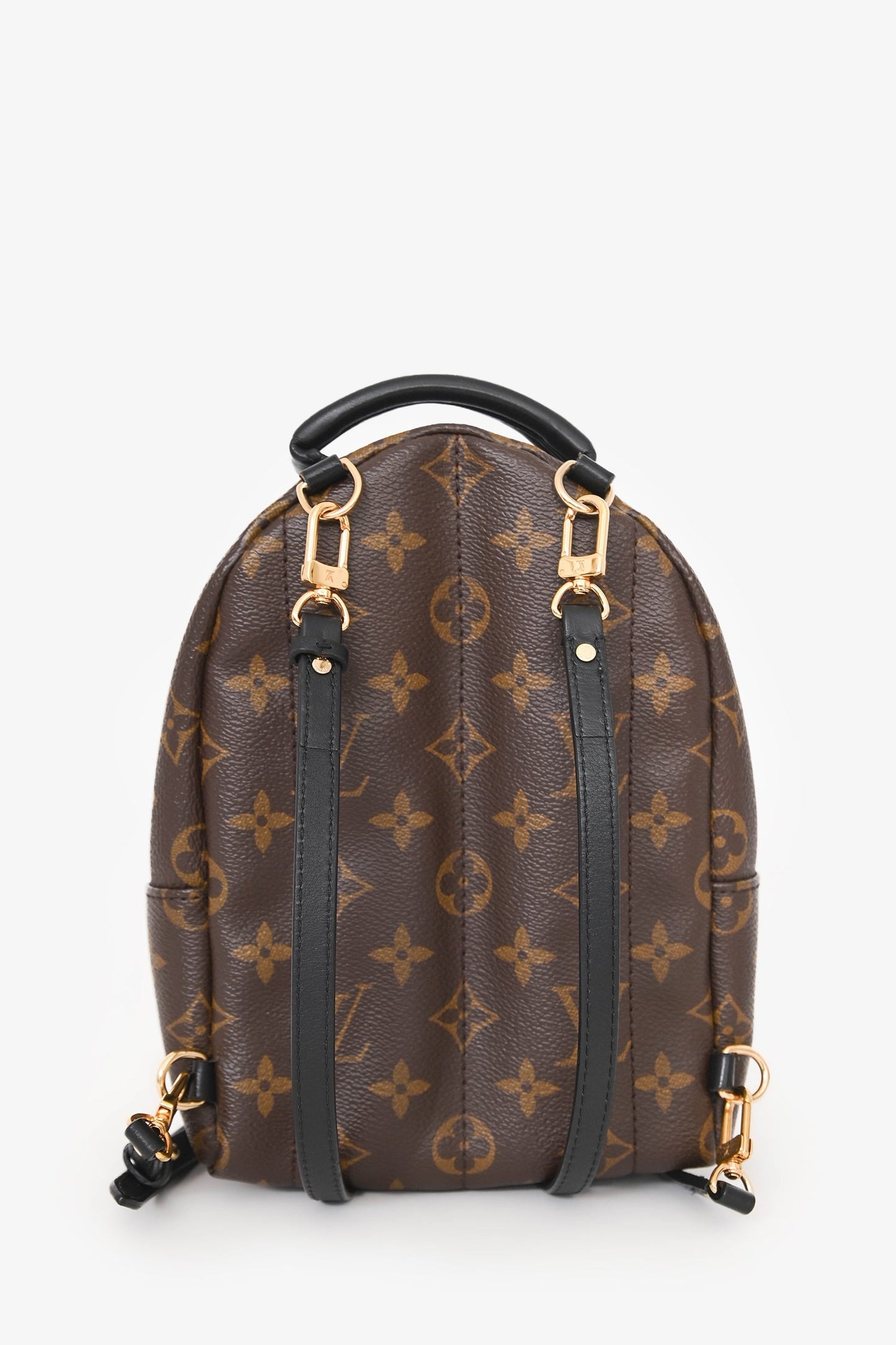 Louis Vuitton 2020 Monogram Palm Springs Mini