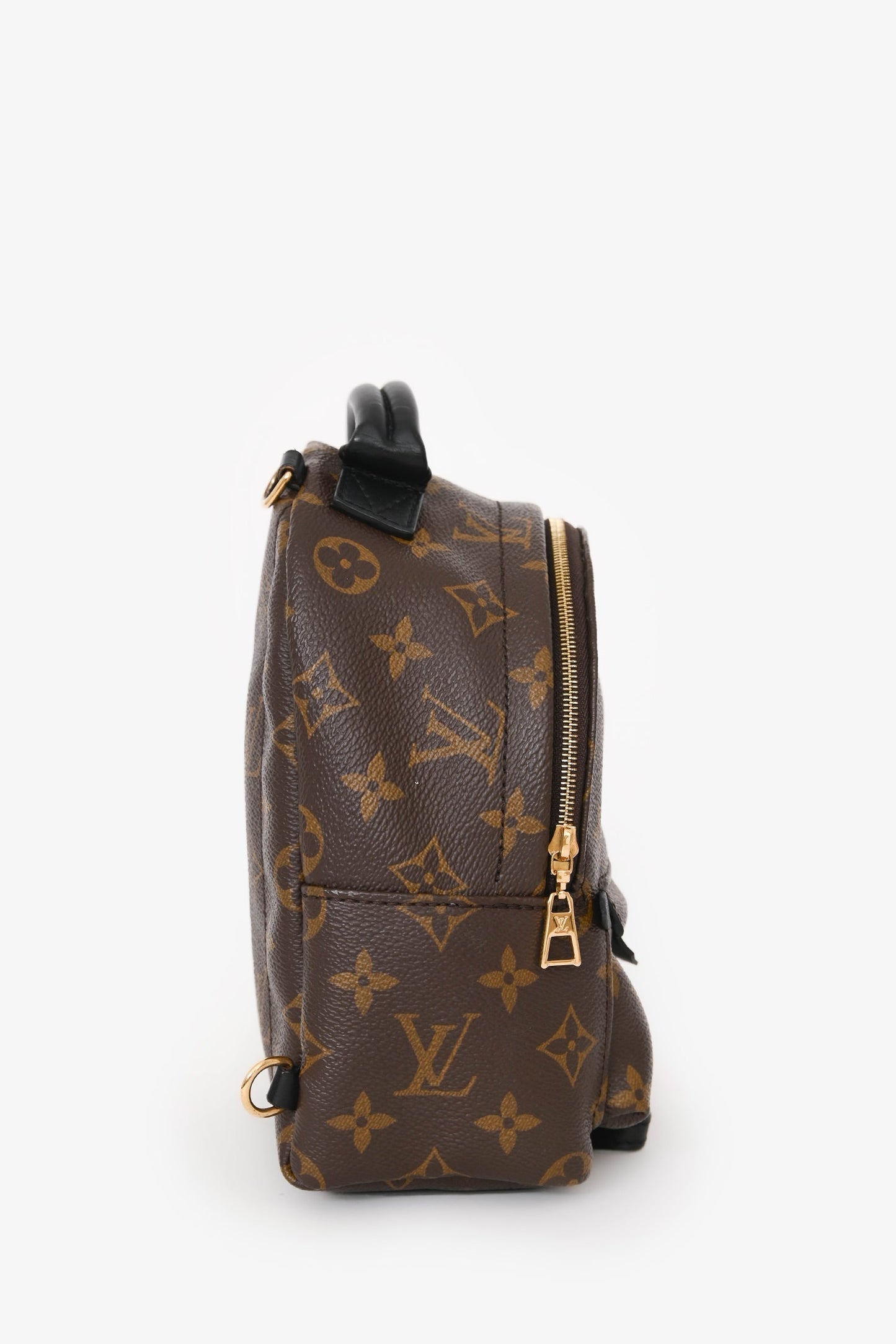 Louis Vuitton 2020 Monogram Palm Springs Mini