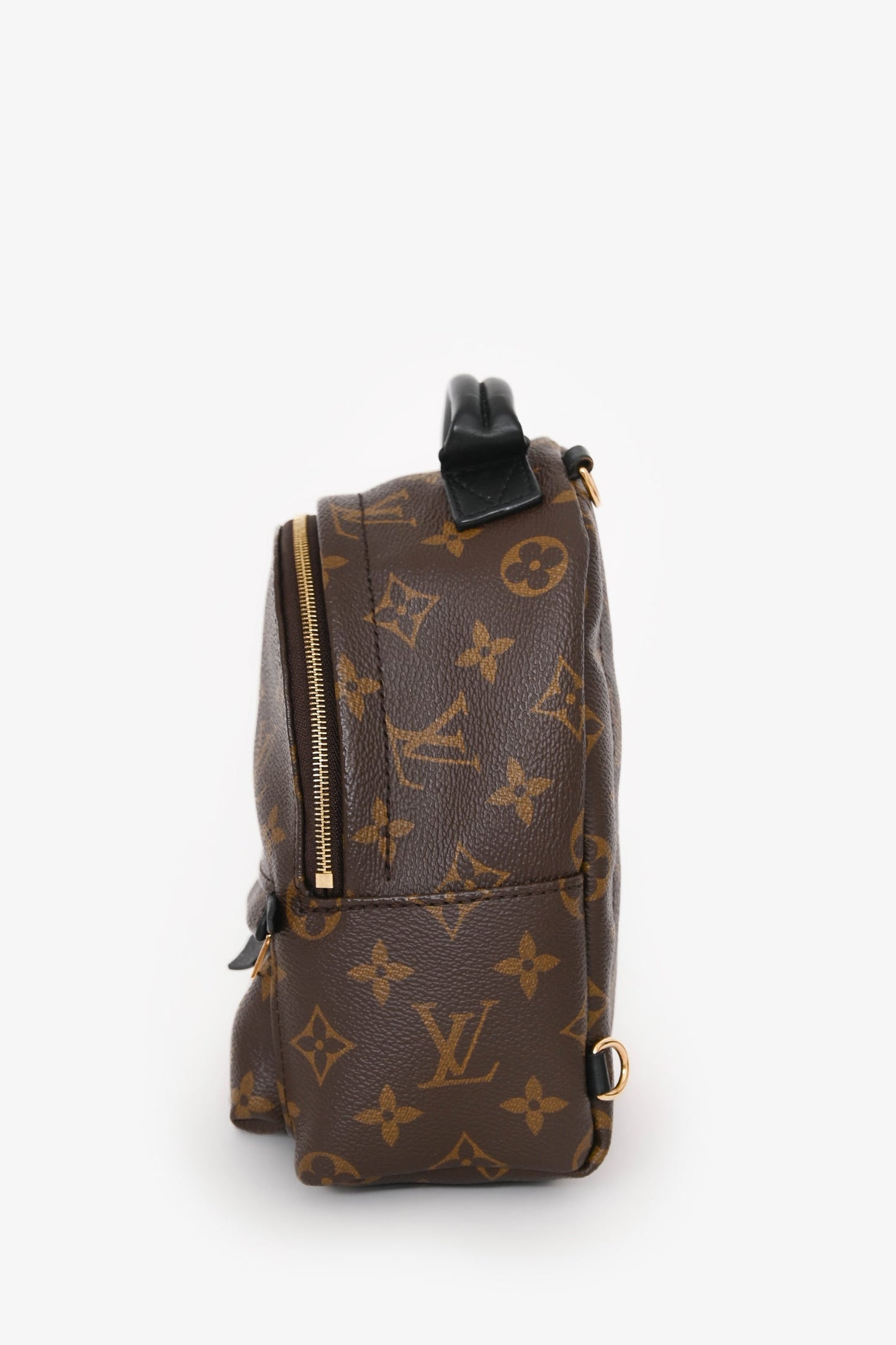 Louis Vuitton 2020 Monogram Palm Springs Mini