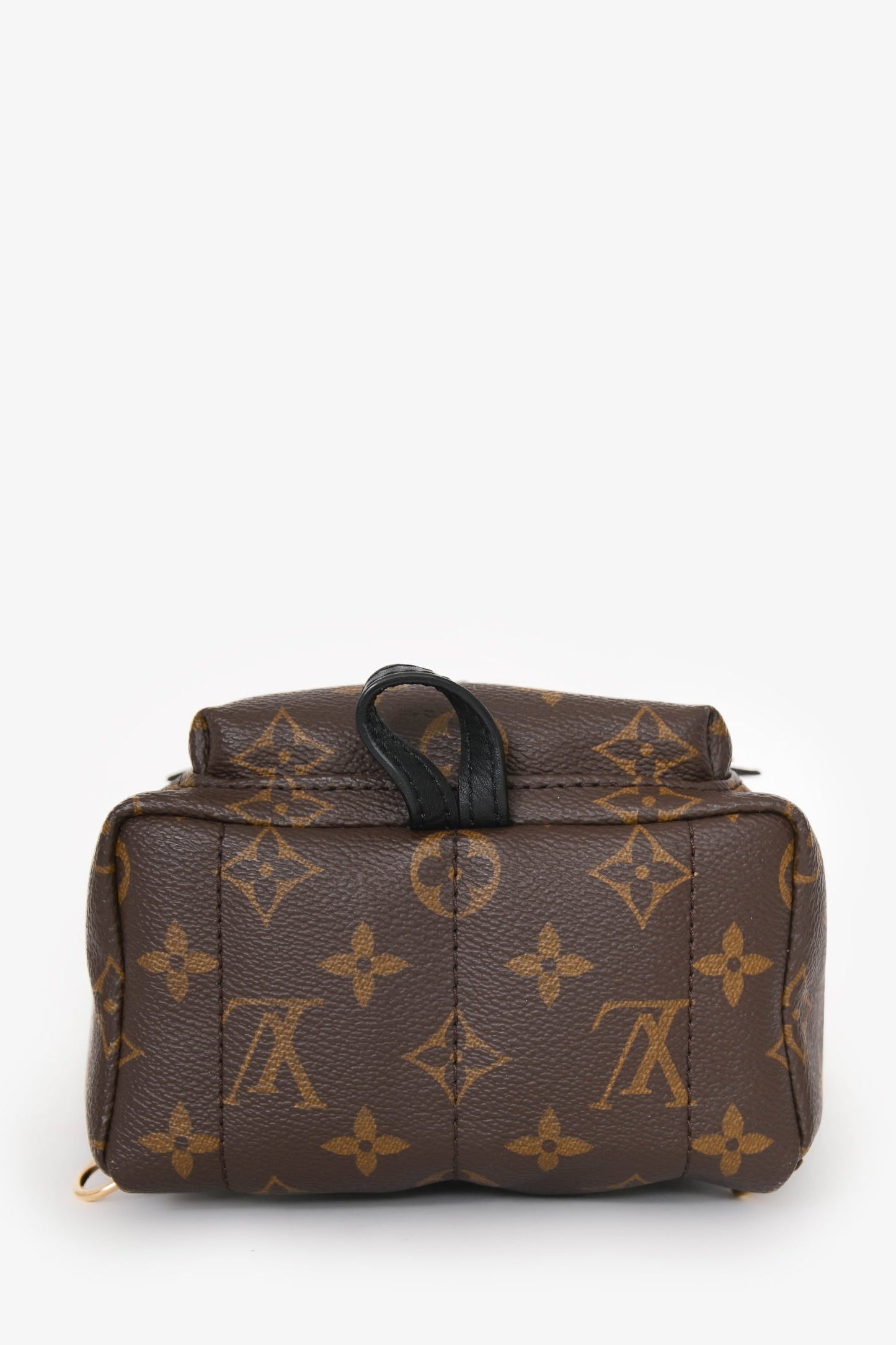 Louis Vuitton 2020 Monogram Palm Springs Mini