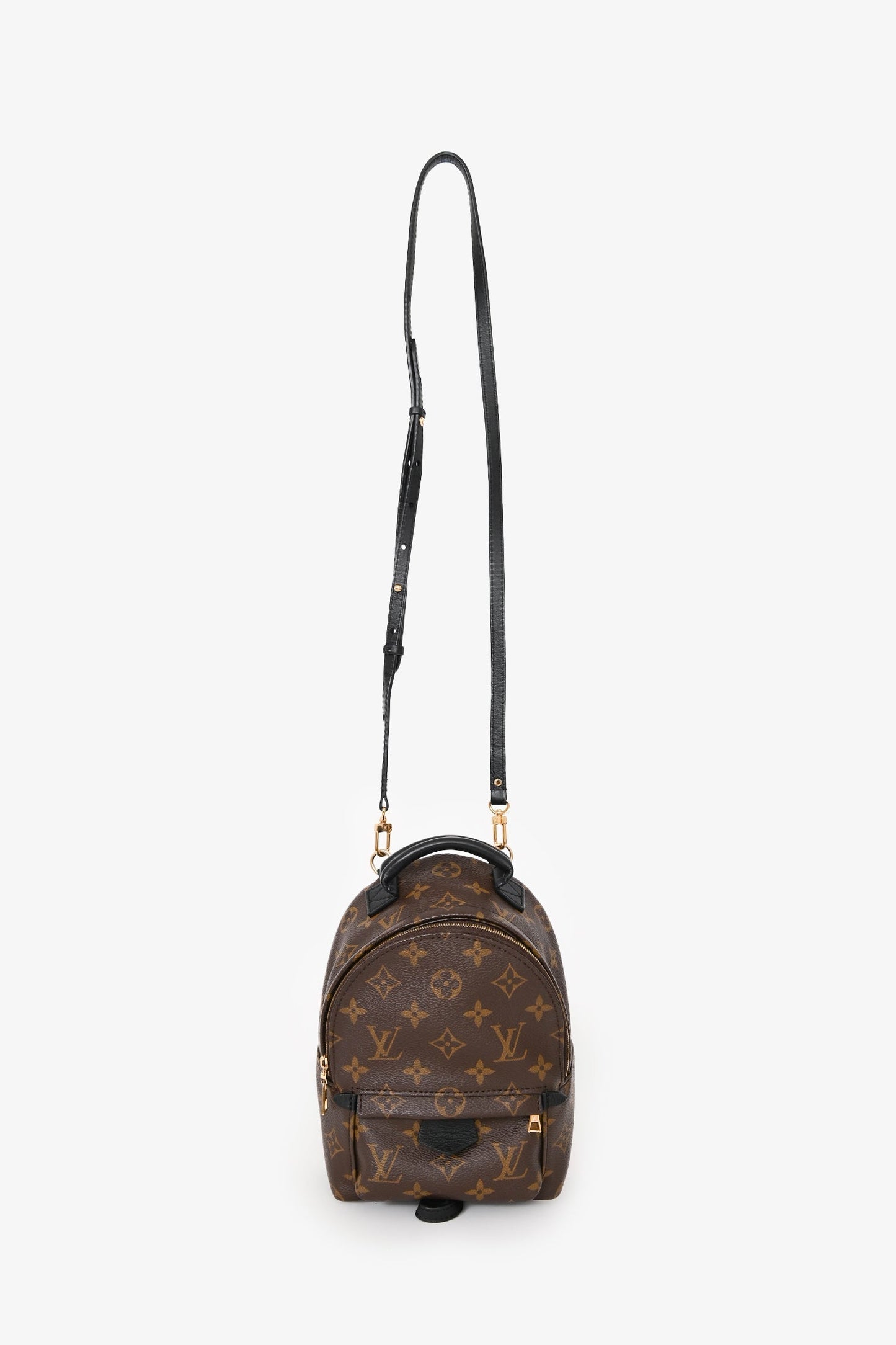 Louis Vuitton 2020 Monogram Palm Springs Mini