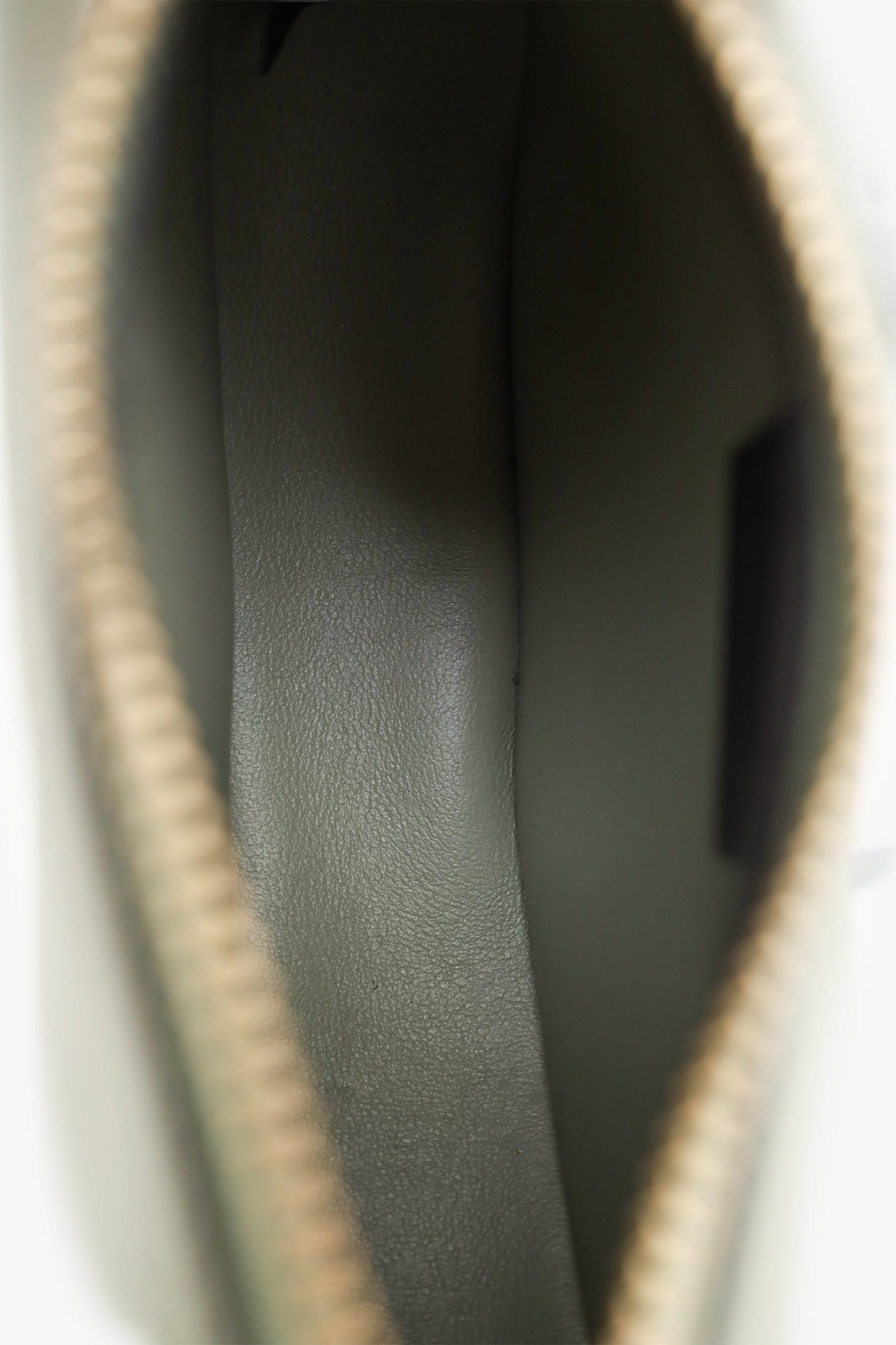 Fendi Taupe Calfskin Leather Nano Fendigraphy Bag