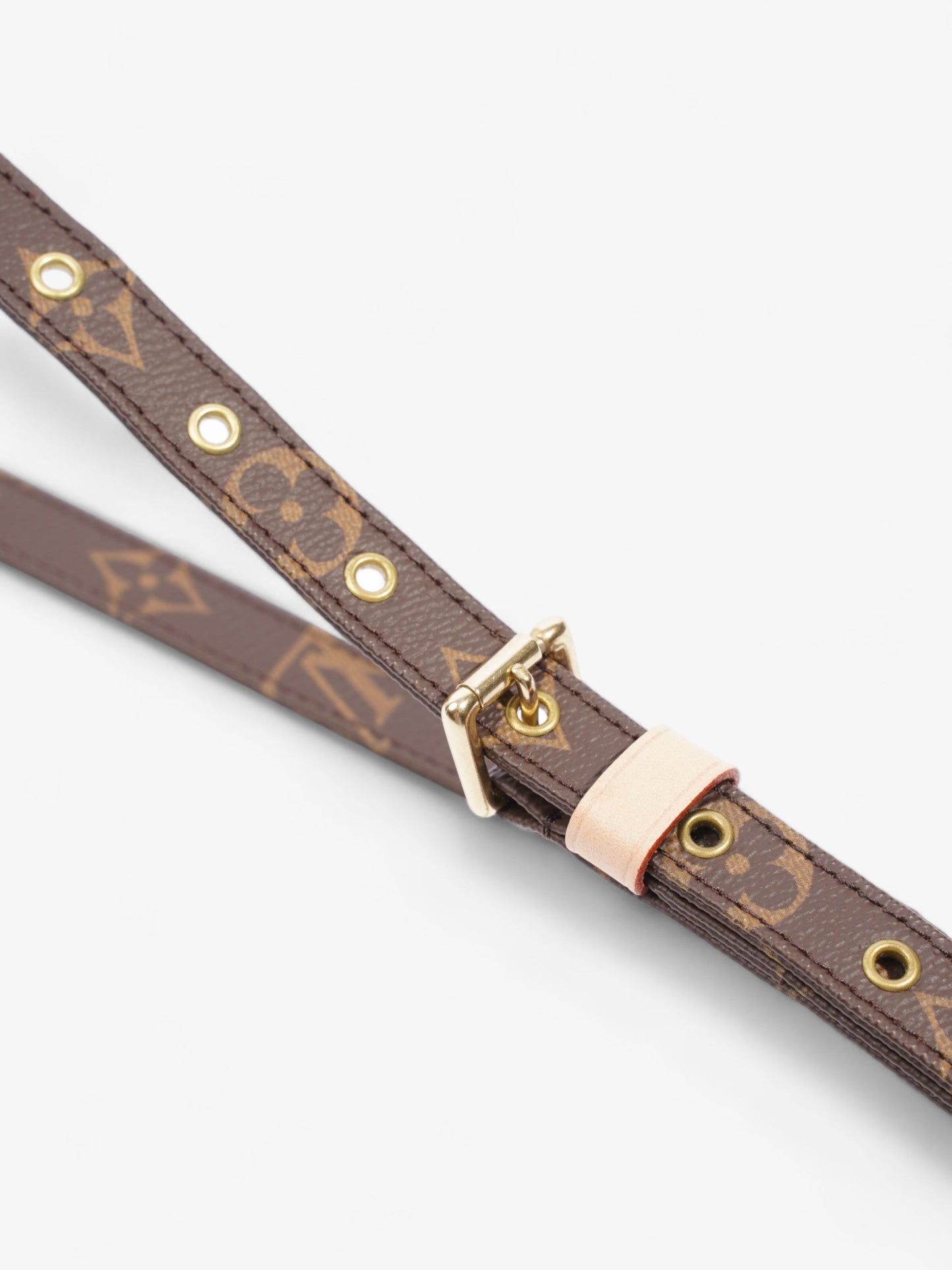 Louis Vuitton BandouliÃ¨re Monogram Coated Canvas