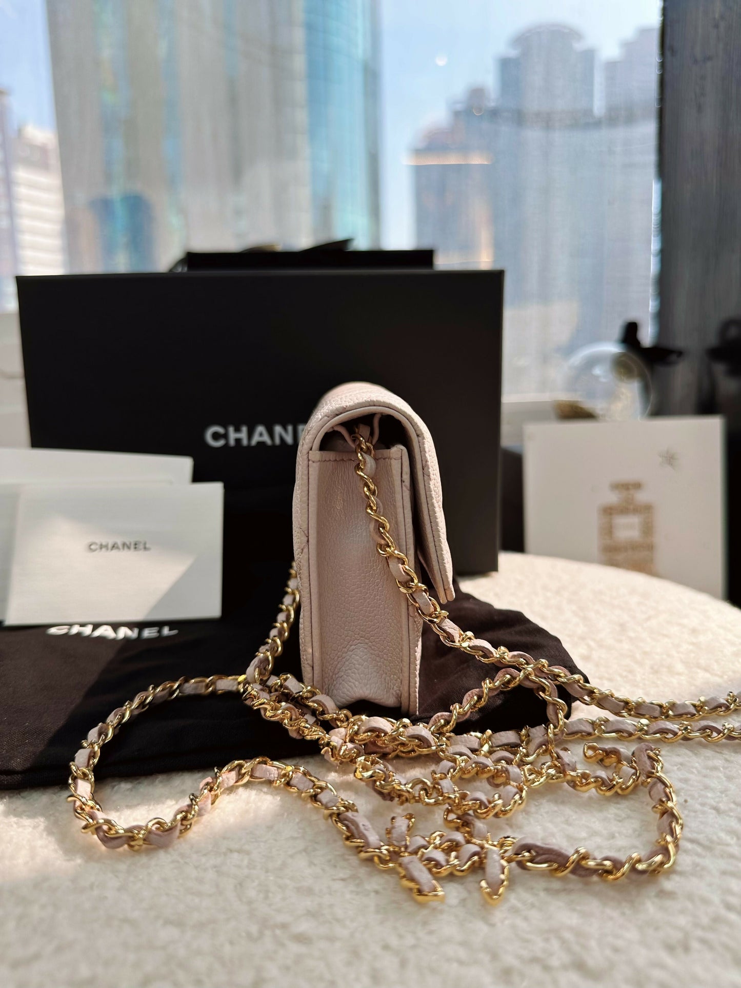 Chanel(21)Small Leather Coco Chain Bag