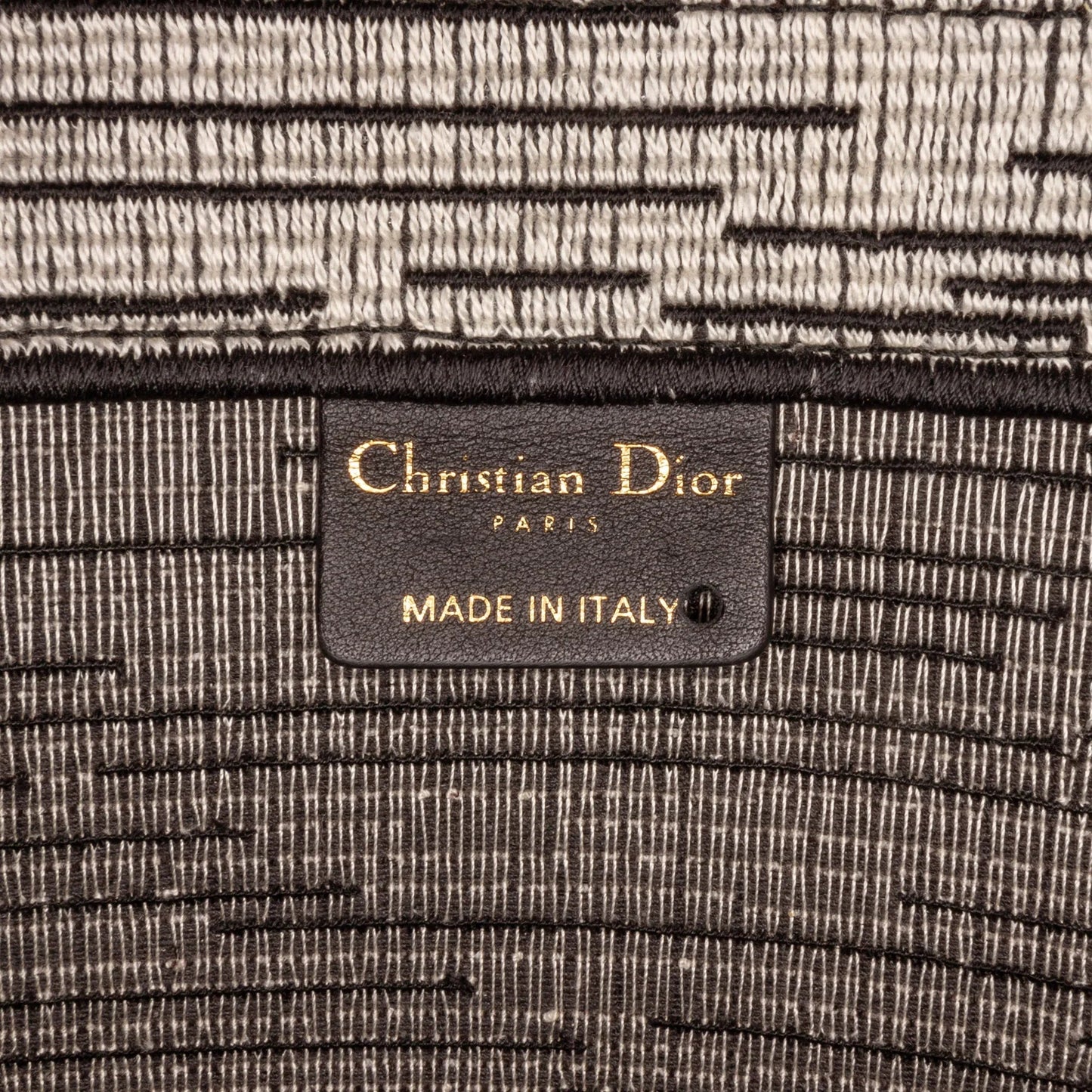 Blue Dior Large French Flag Book Tote