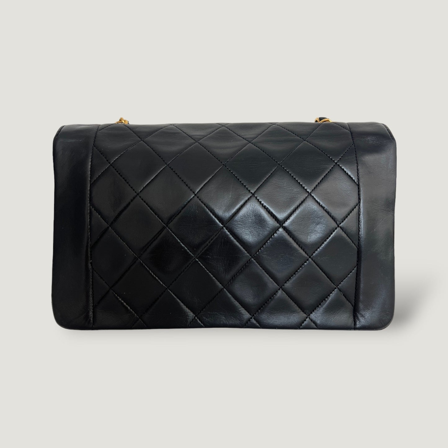 Chanel Diana Handbag Bag - Ewore Bags