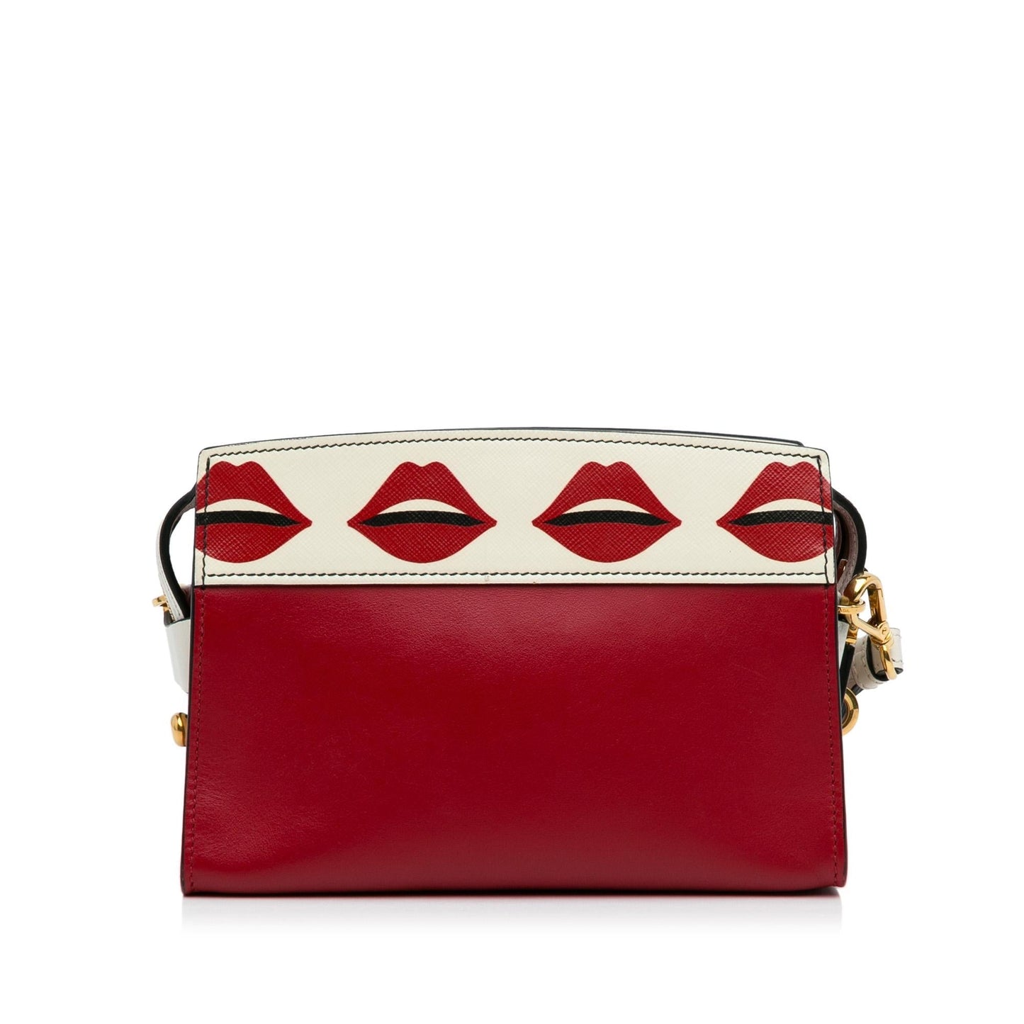 Prada City Calf and Saffiano Lip Print Esplanade (SHG-swq2sE)