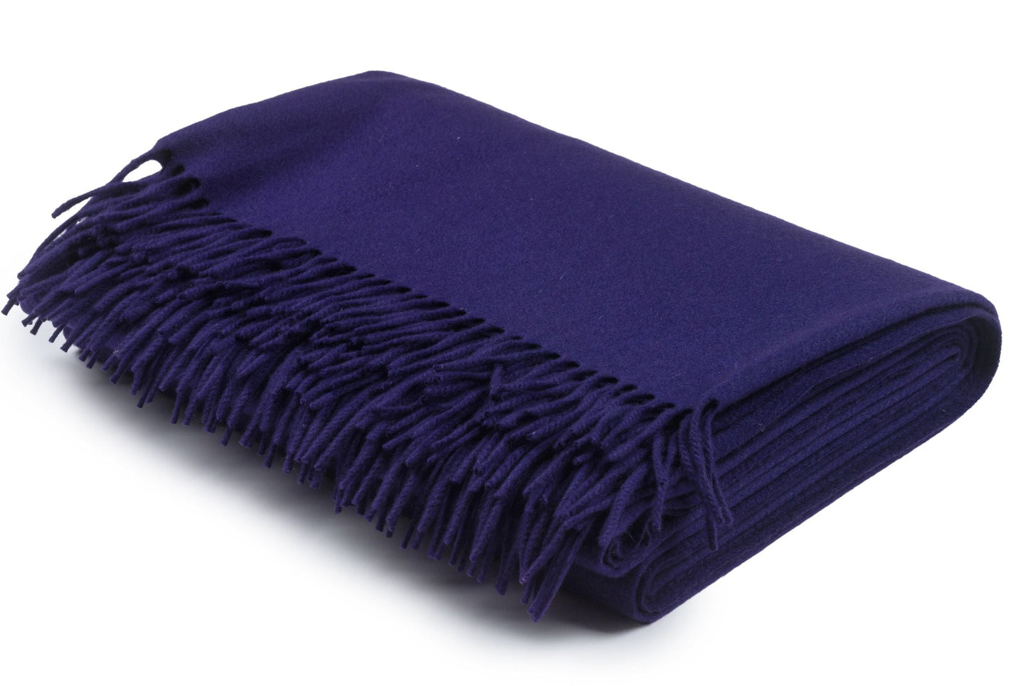 Hermes Purple Cashmere Fringe Blanket