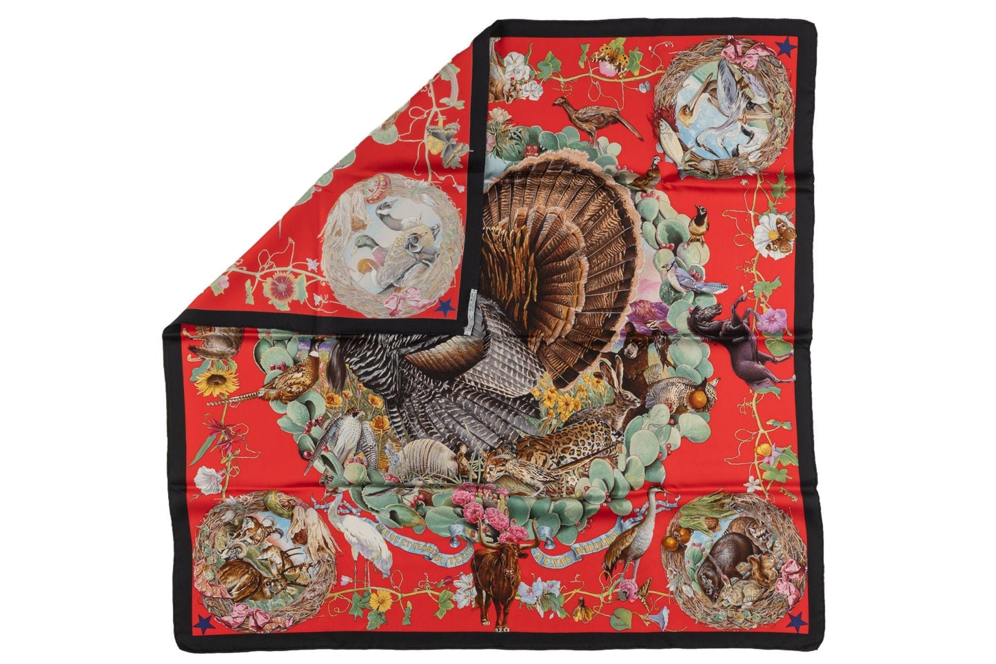 Hermes Faune et Flora du Texas Scarf