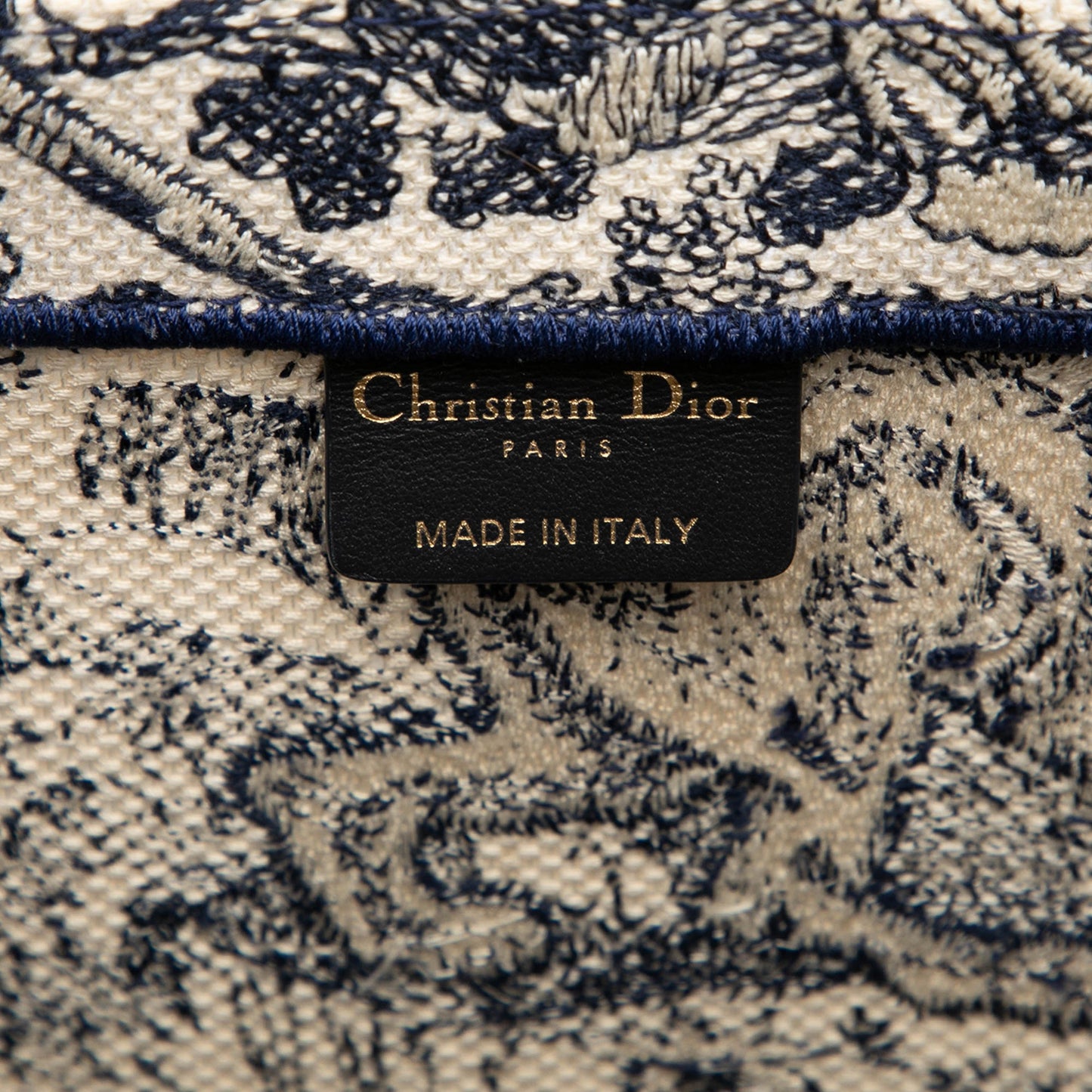 Blue Dior Large Canvas Embroidered Dioriviera Toile De Jouy Book Tote