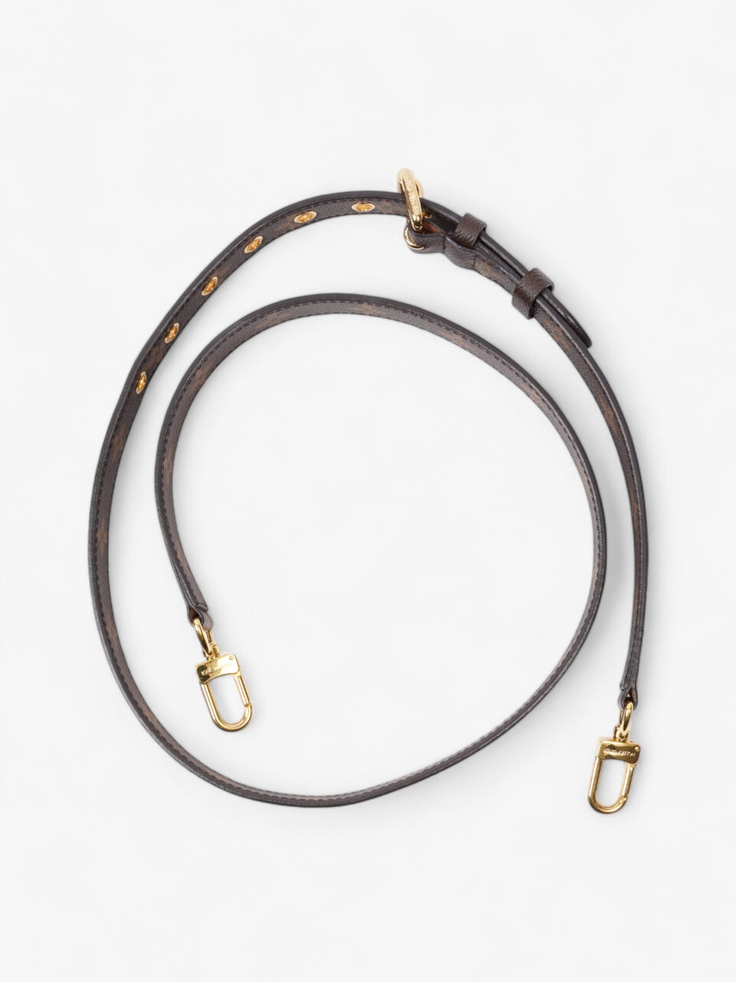 Louis Vuitton BandouliÃ¨re Bag Strap Monogram / Gold Coated Canvas