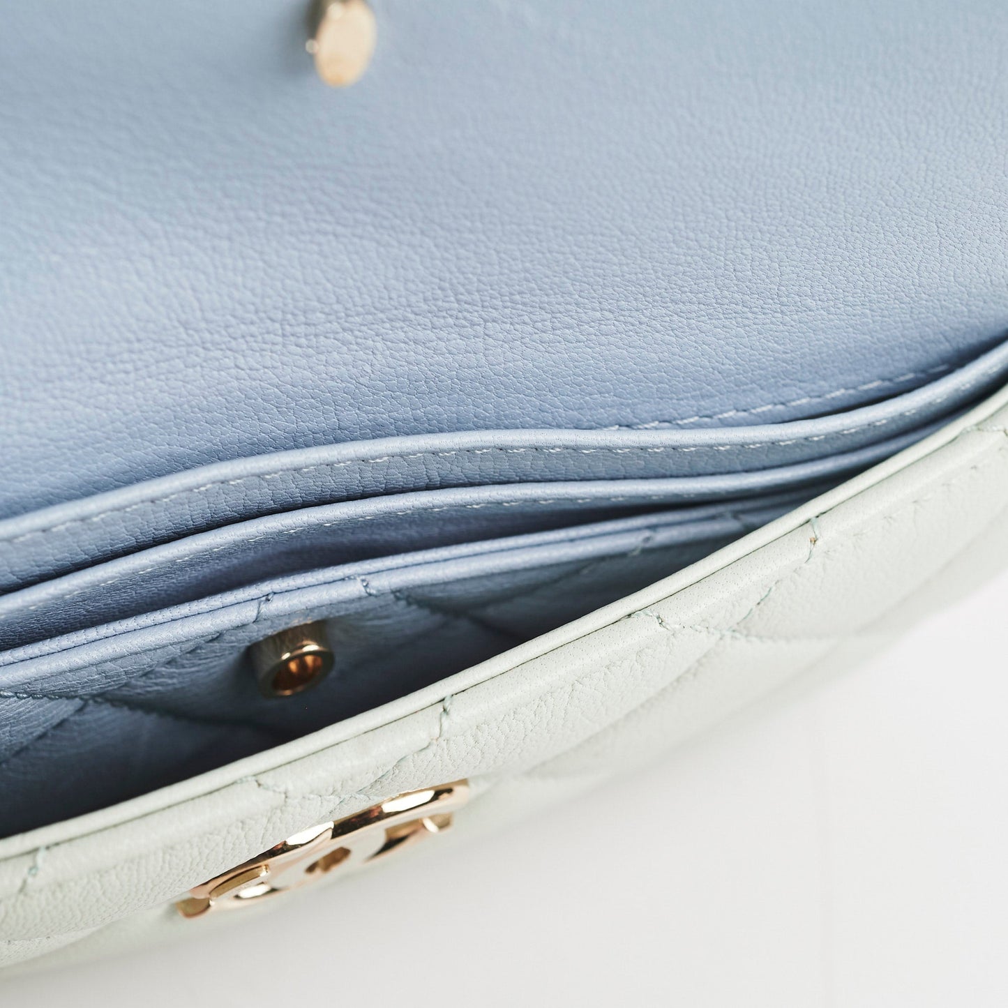 Chanel Goatskin Quilted Waist Bag Pastel