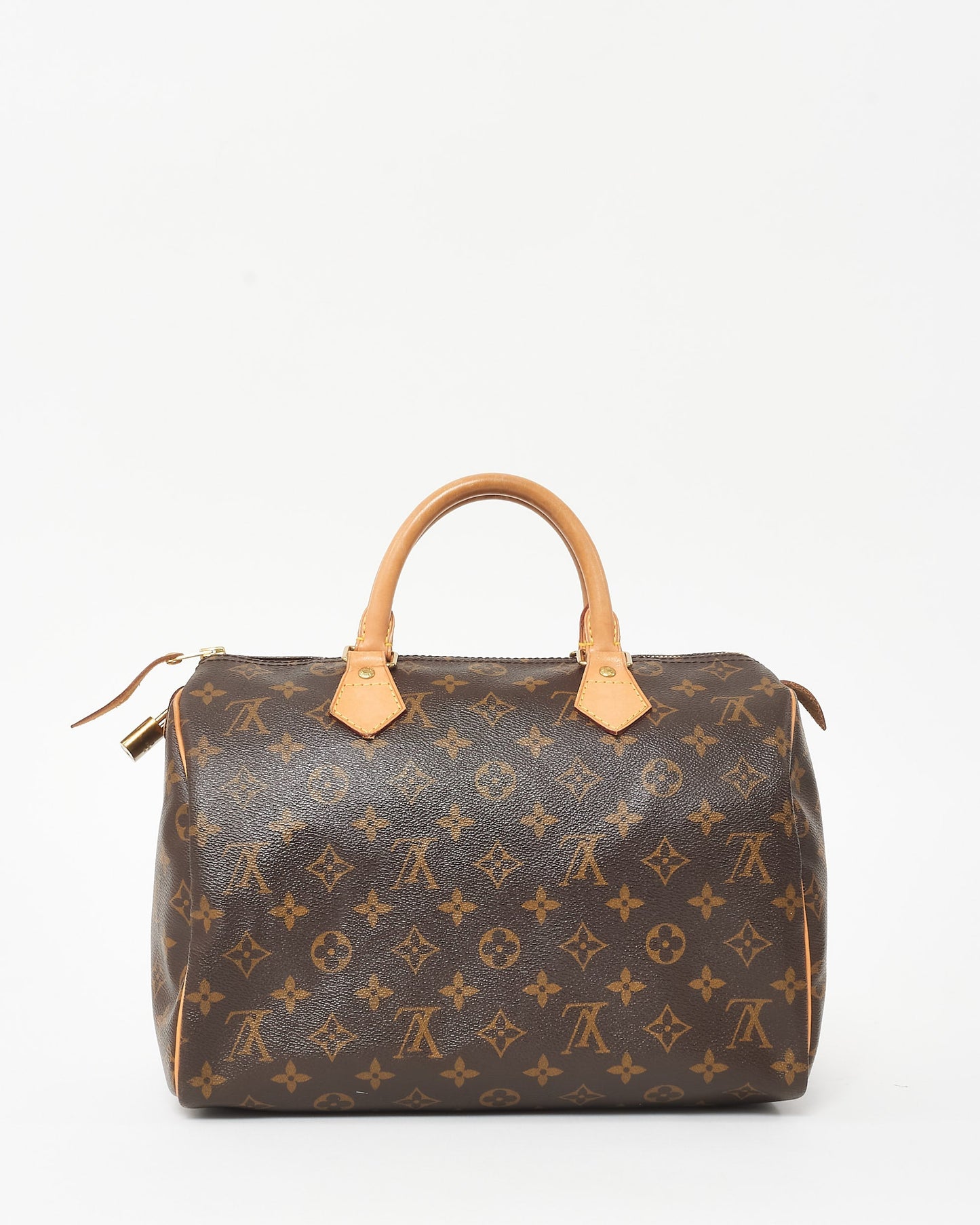 Louis Vuitton Monogram Coated Canvas