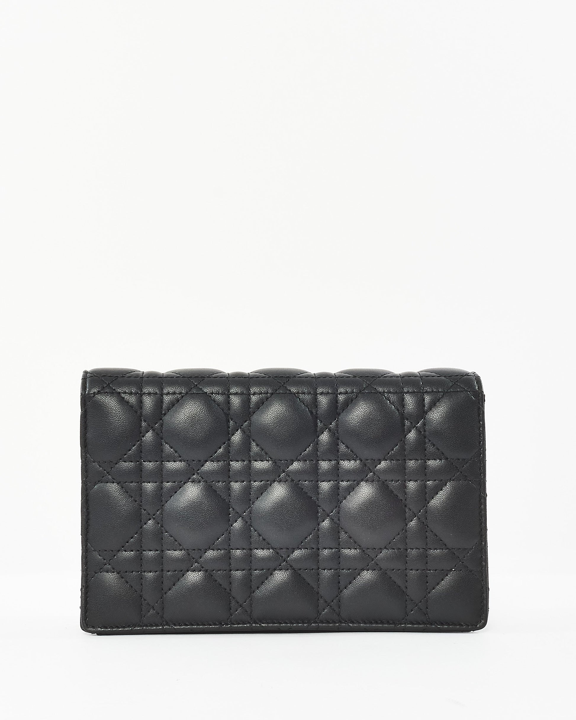 Dior Chain Leather Crossbody