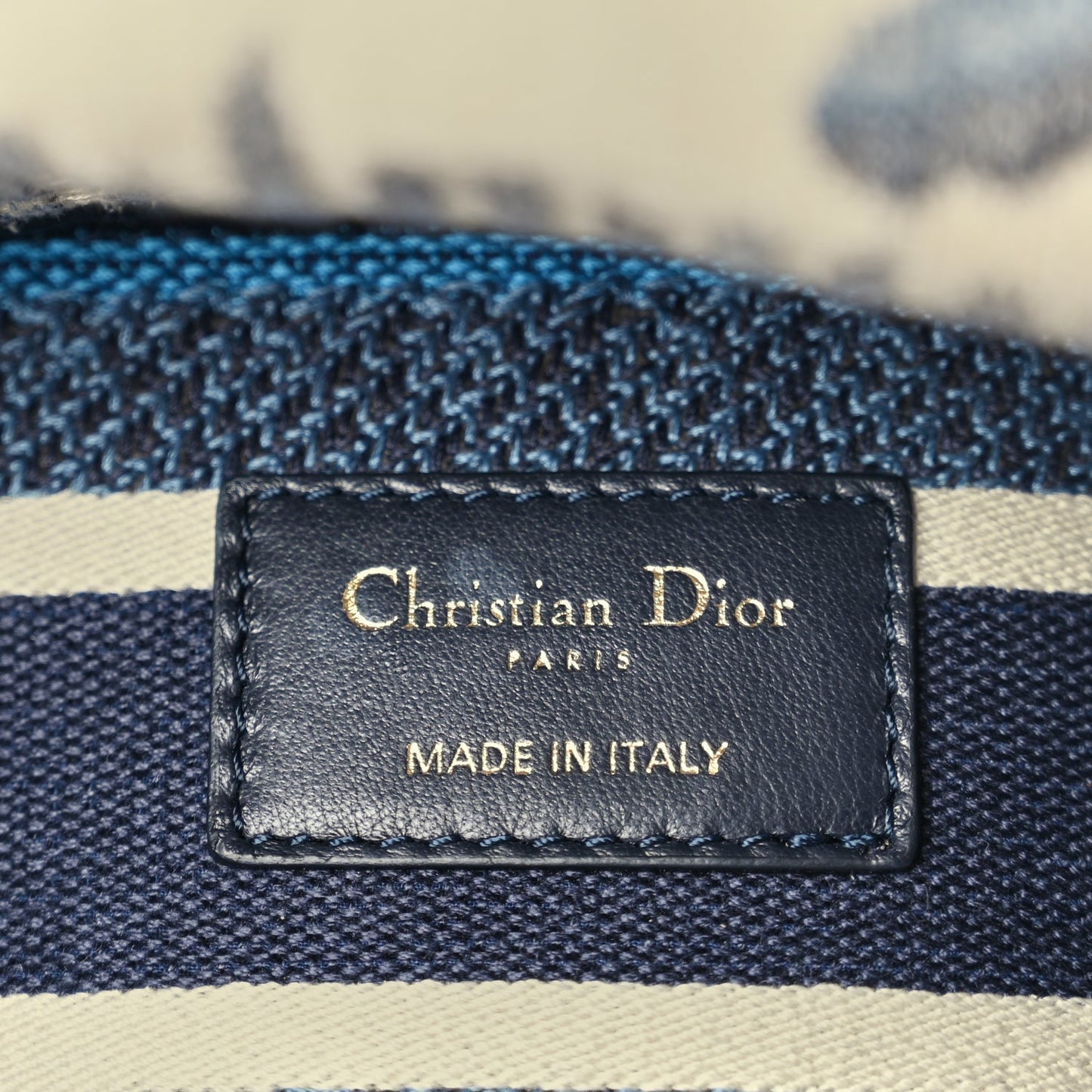 Christian Dior Canvas Embroidered Palm Tree Toile De Jouy Medium Lady D-Lite Blue