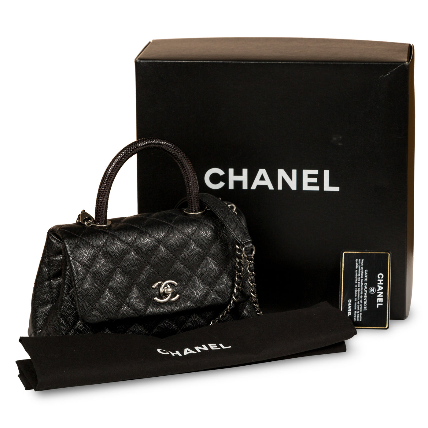 Chanel Coco Handle - Small - Lizard Handle