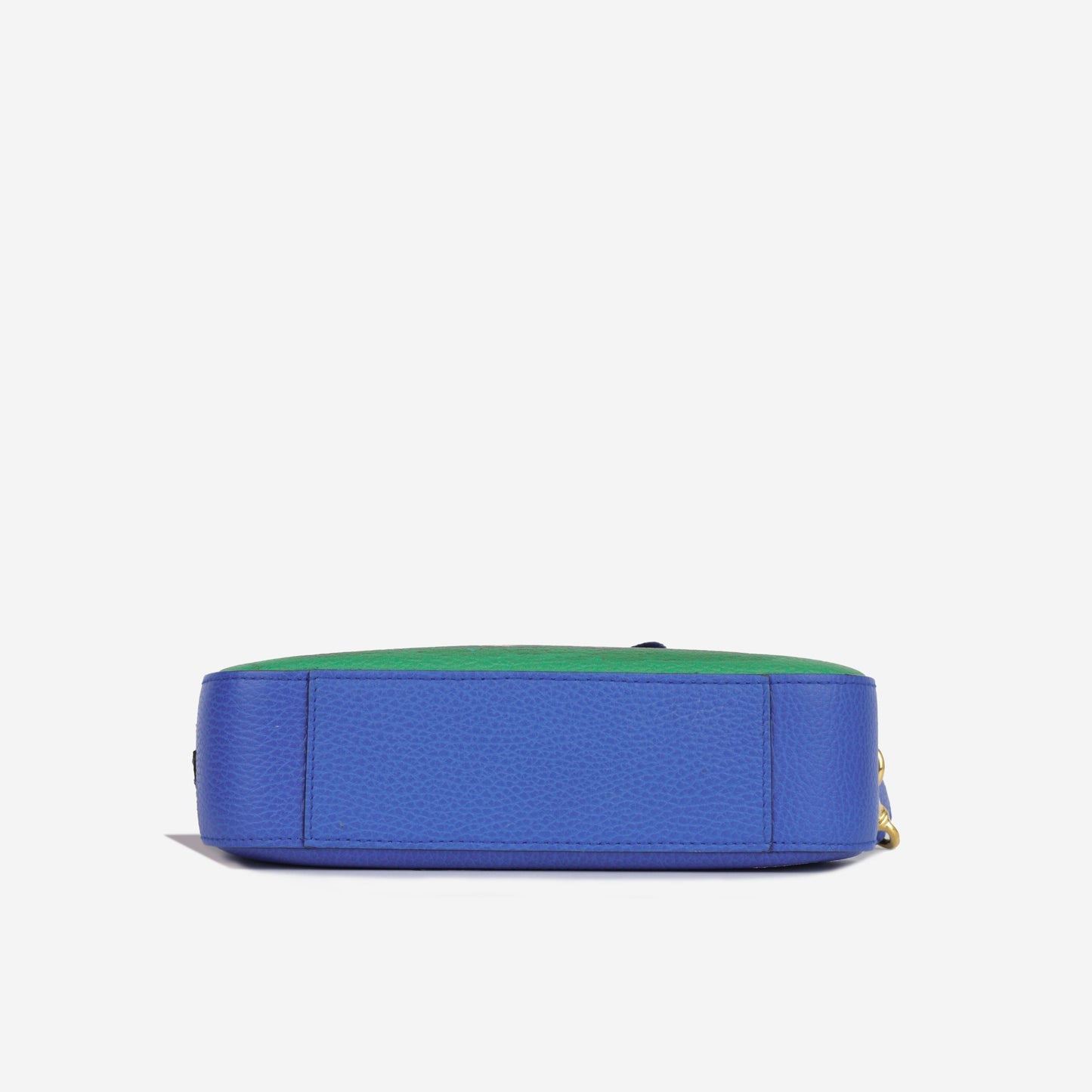 Gucci Calfskin Sylvie Tiger Print Camera Bag