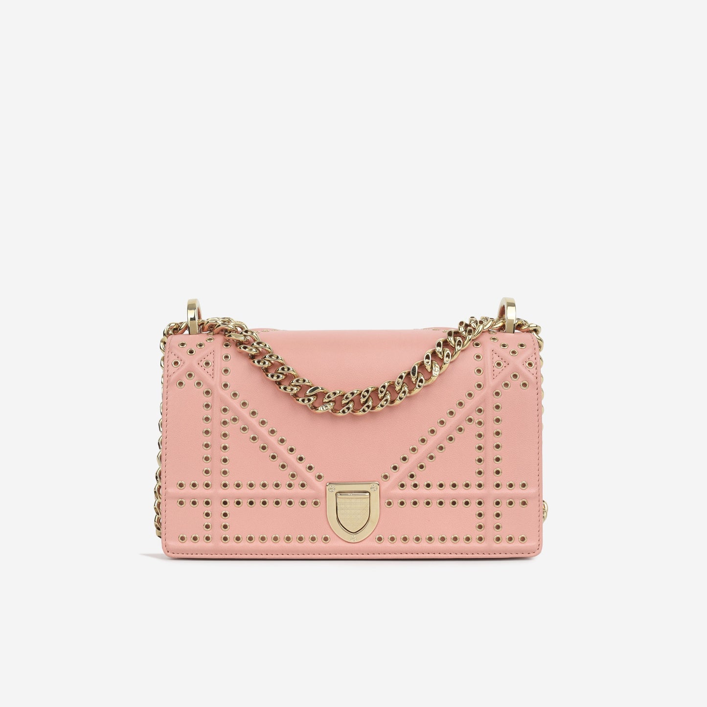 Dior Chain Leather Crossbody