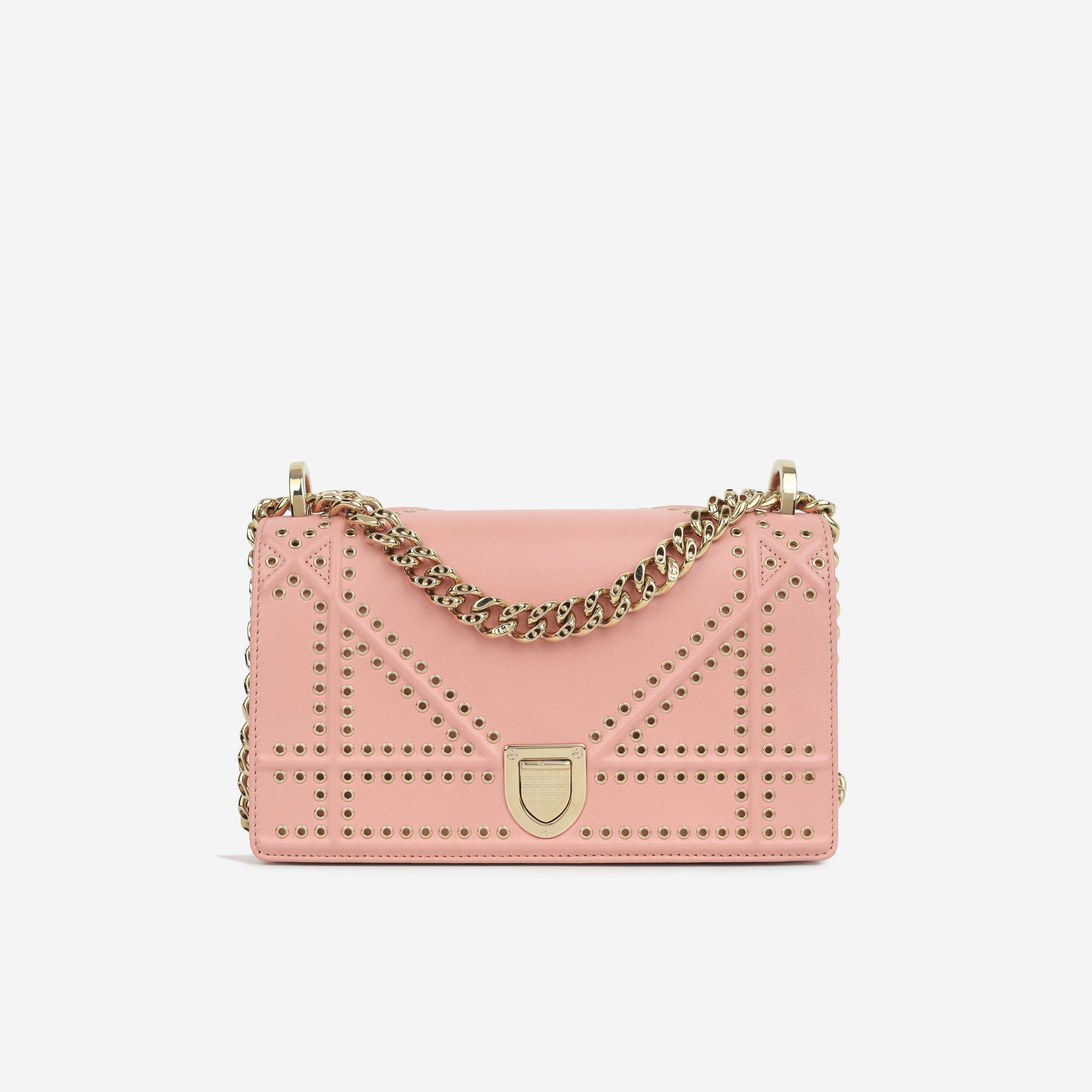 Dior Chain Leather Crossbody
