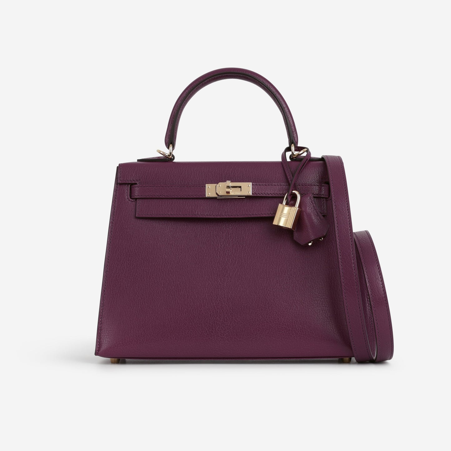 Hermès Kelly 25 - Anemone Chevre Chamkila | Permbrass Hardware