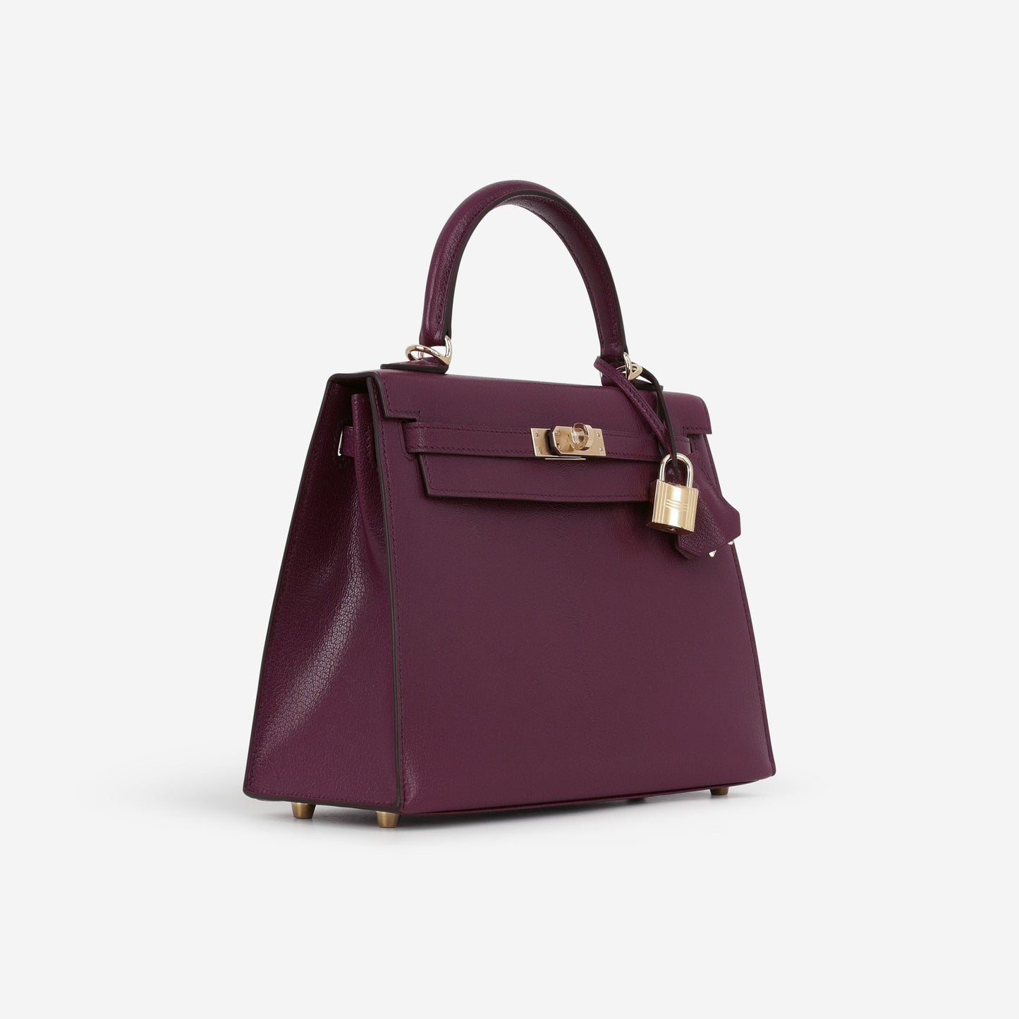 Hermès Kelly 25 - Anemone Chevre Chamkila | Permbrass Hardware