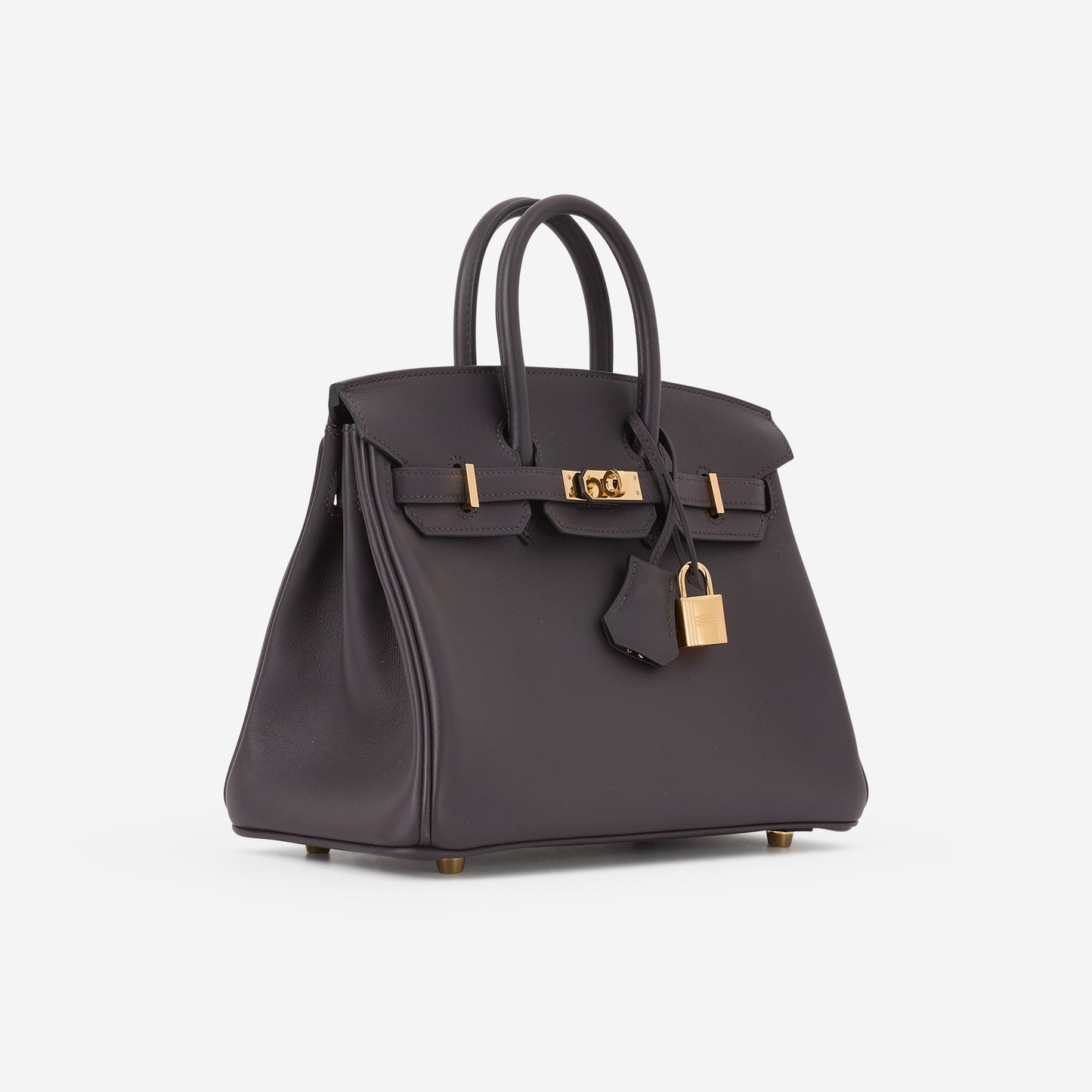Hermès Birkin 25 - Prunoir Swift | Gold hardware
