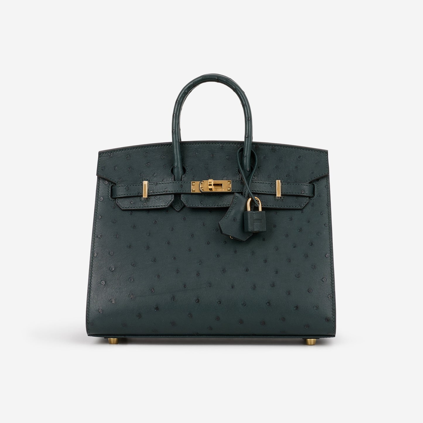 Hermès Birkin 25 - Vert Cypres Ostrich | Gold Hardware
