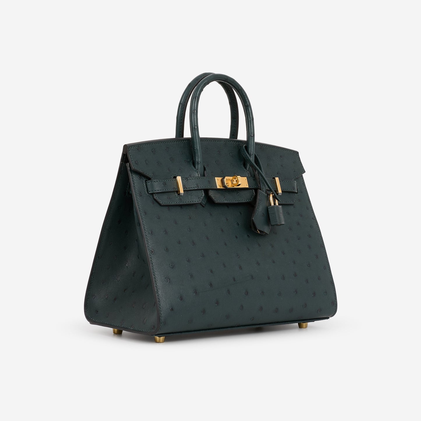 Hermès Birkin 25 - Vert Cypres Ostrich | Gold Hardware