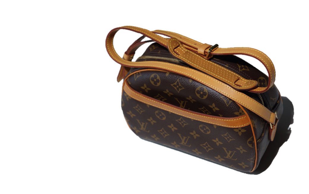 Louis Vuitton Blois Monogram bag