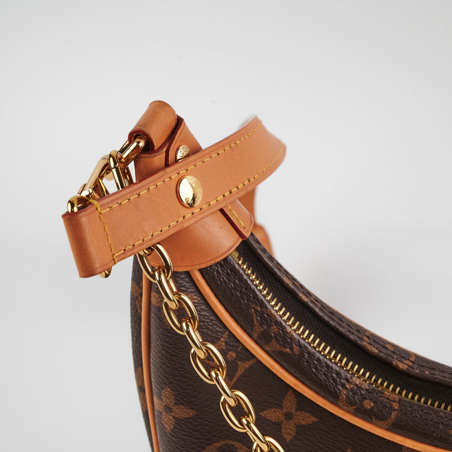 Louis Vuitton Loop Monogram Bag